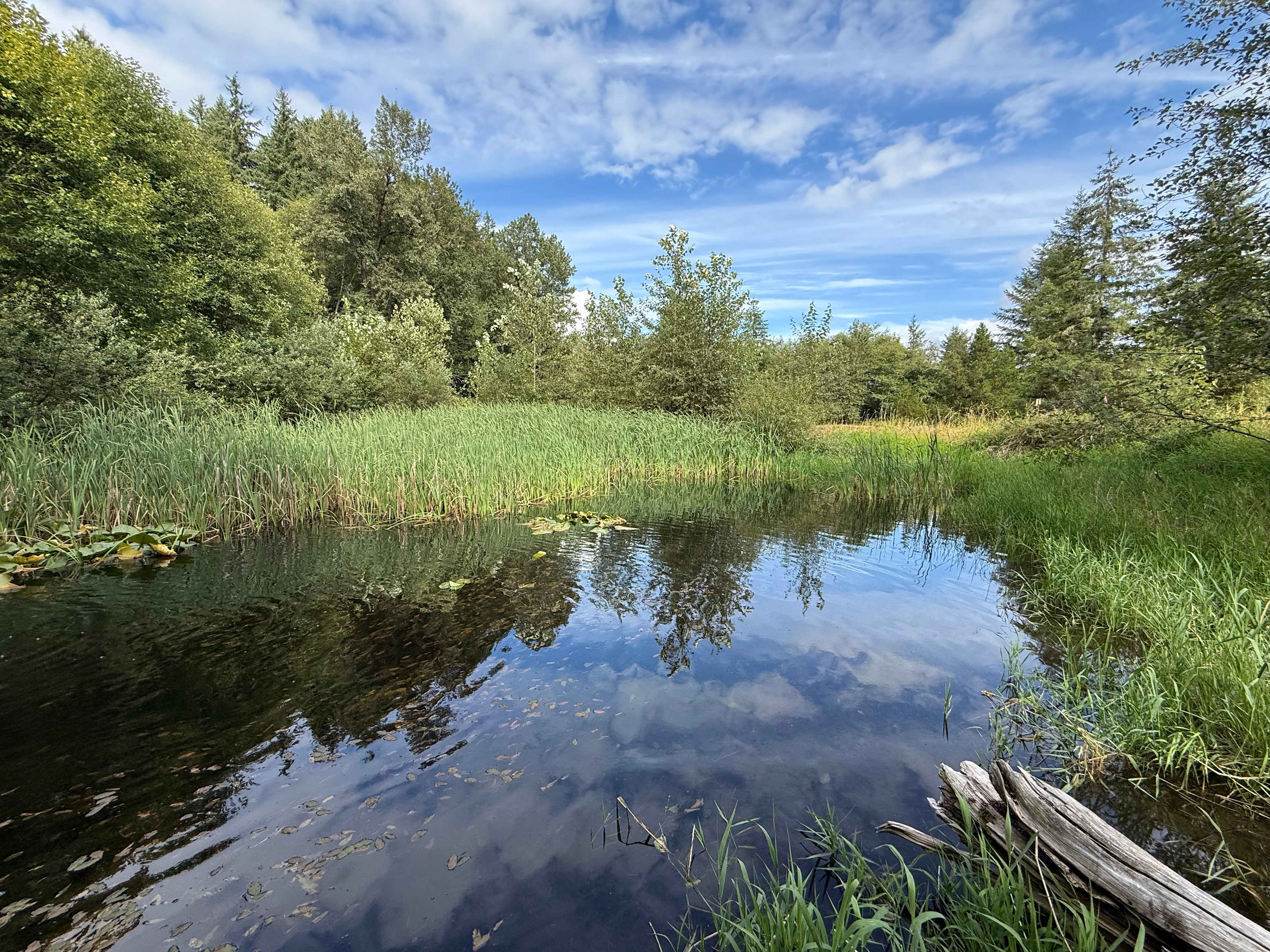 Otter Pond Riverfront Getaway