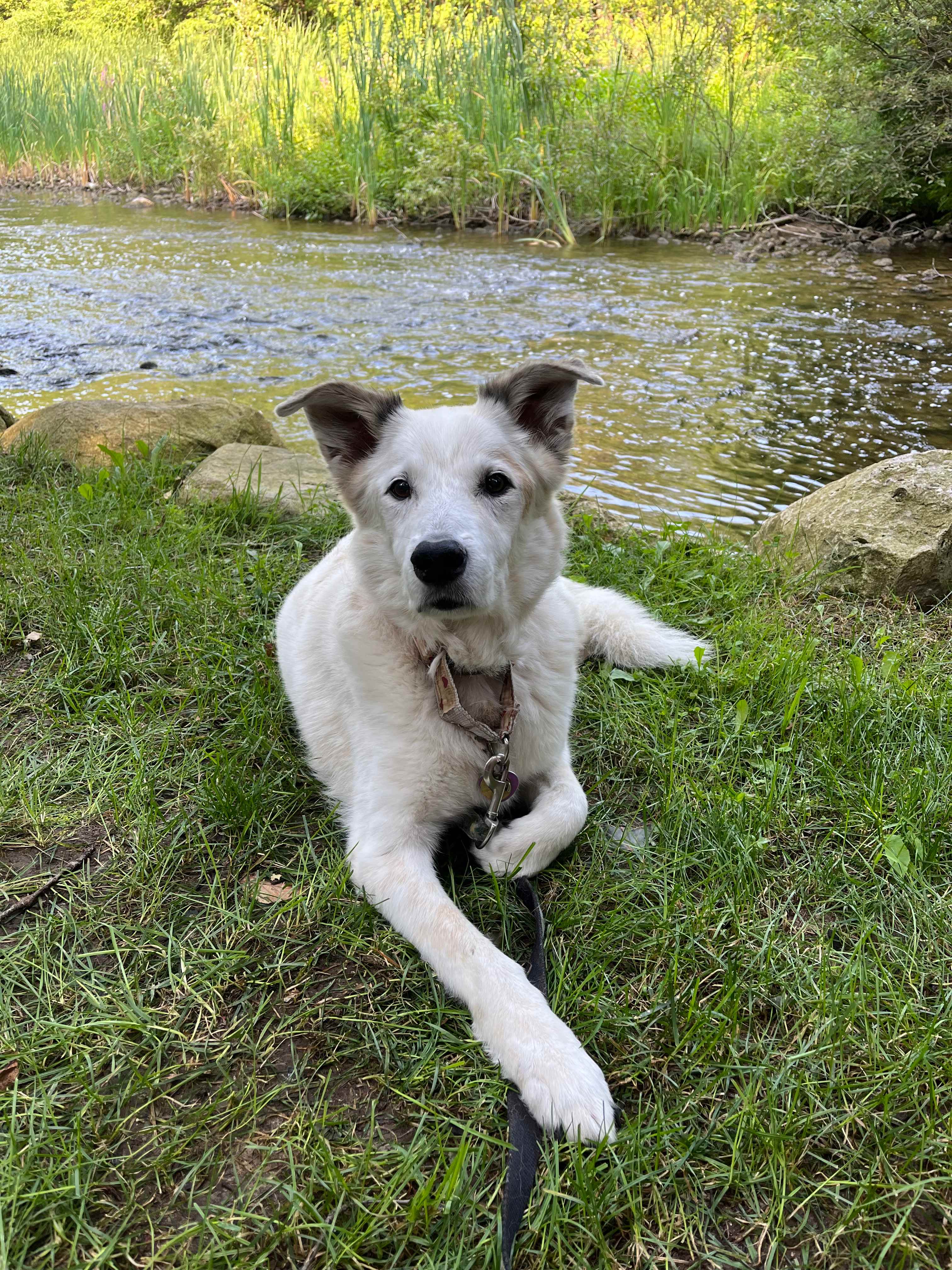 Riverside Resort and Bistro