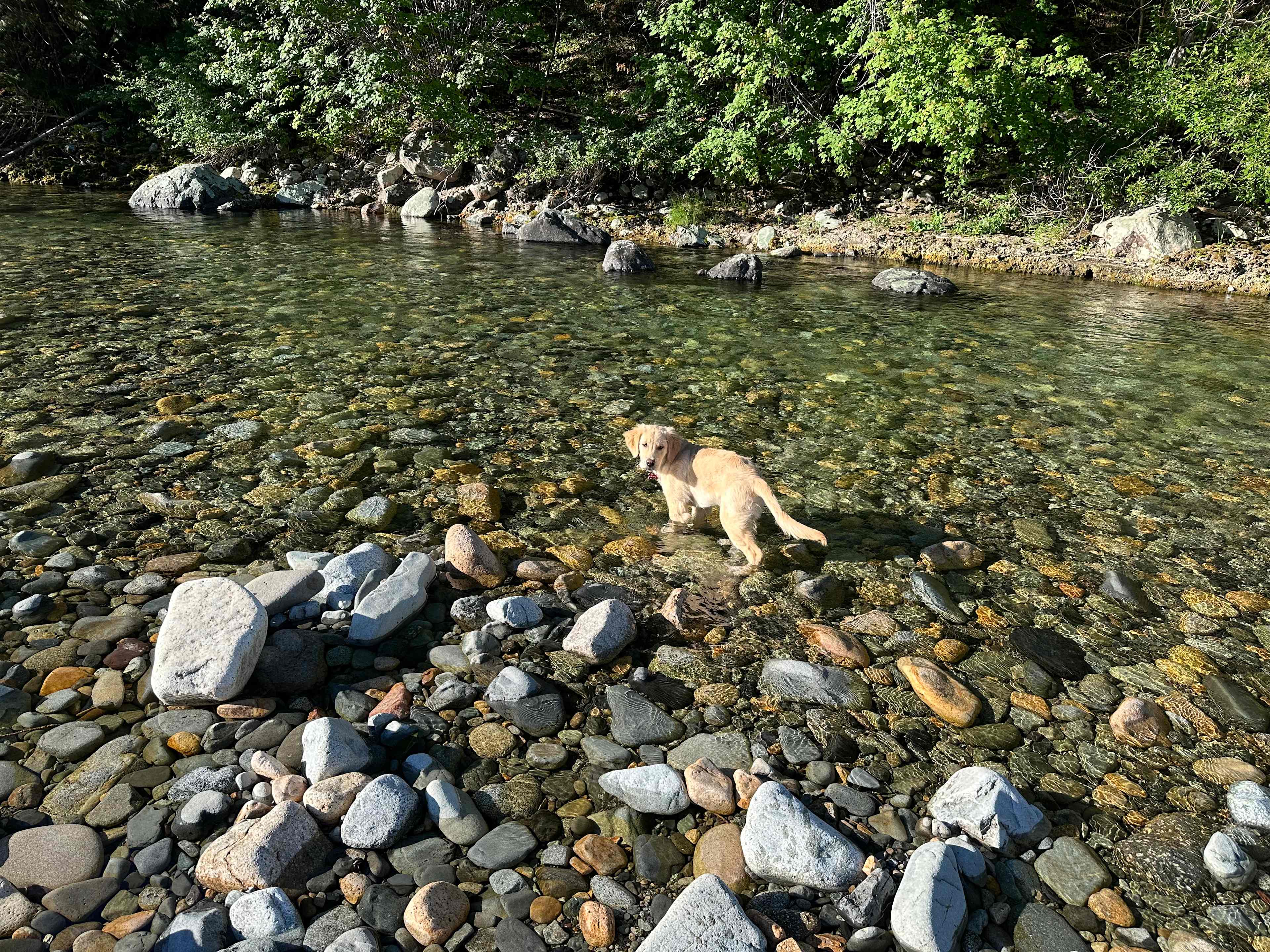 Lautensleger Family Camp Property