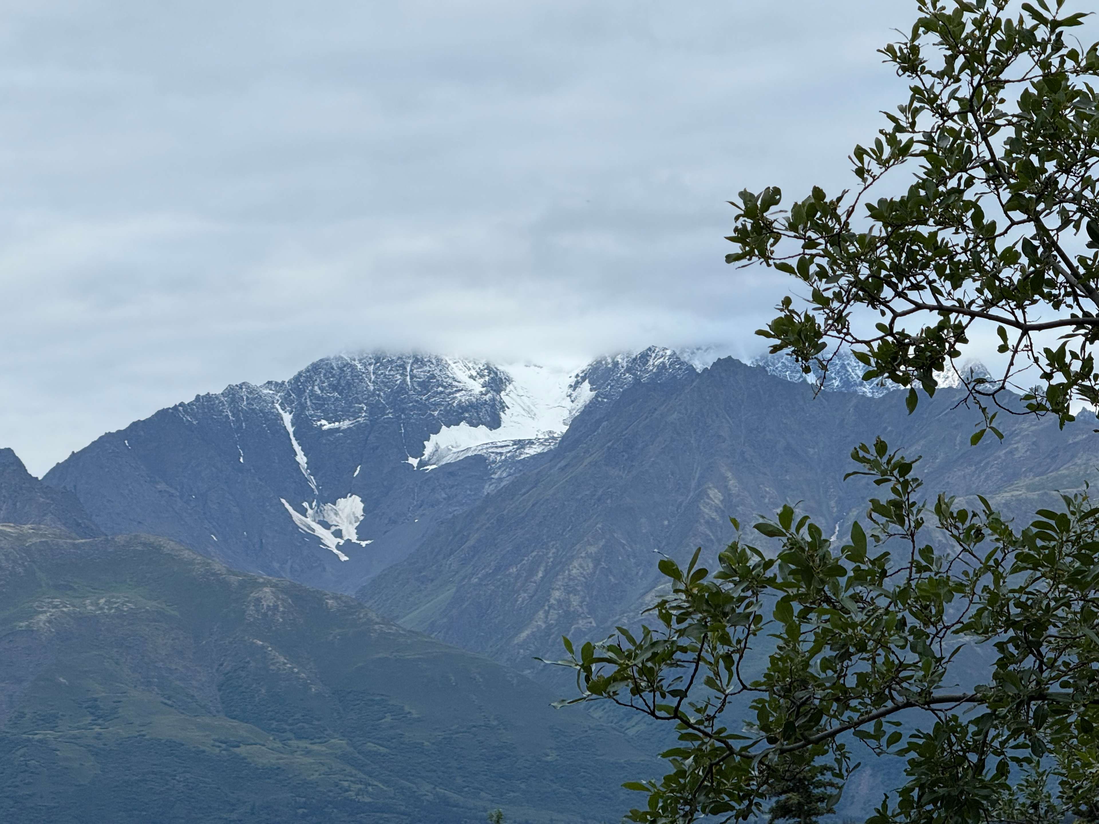 Pinochle Trail Campground