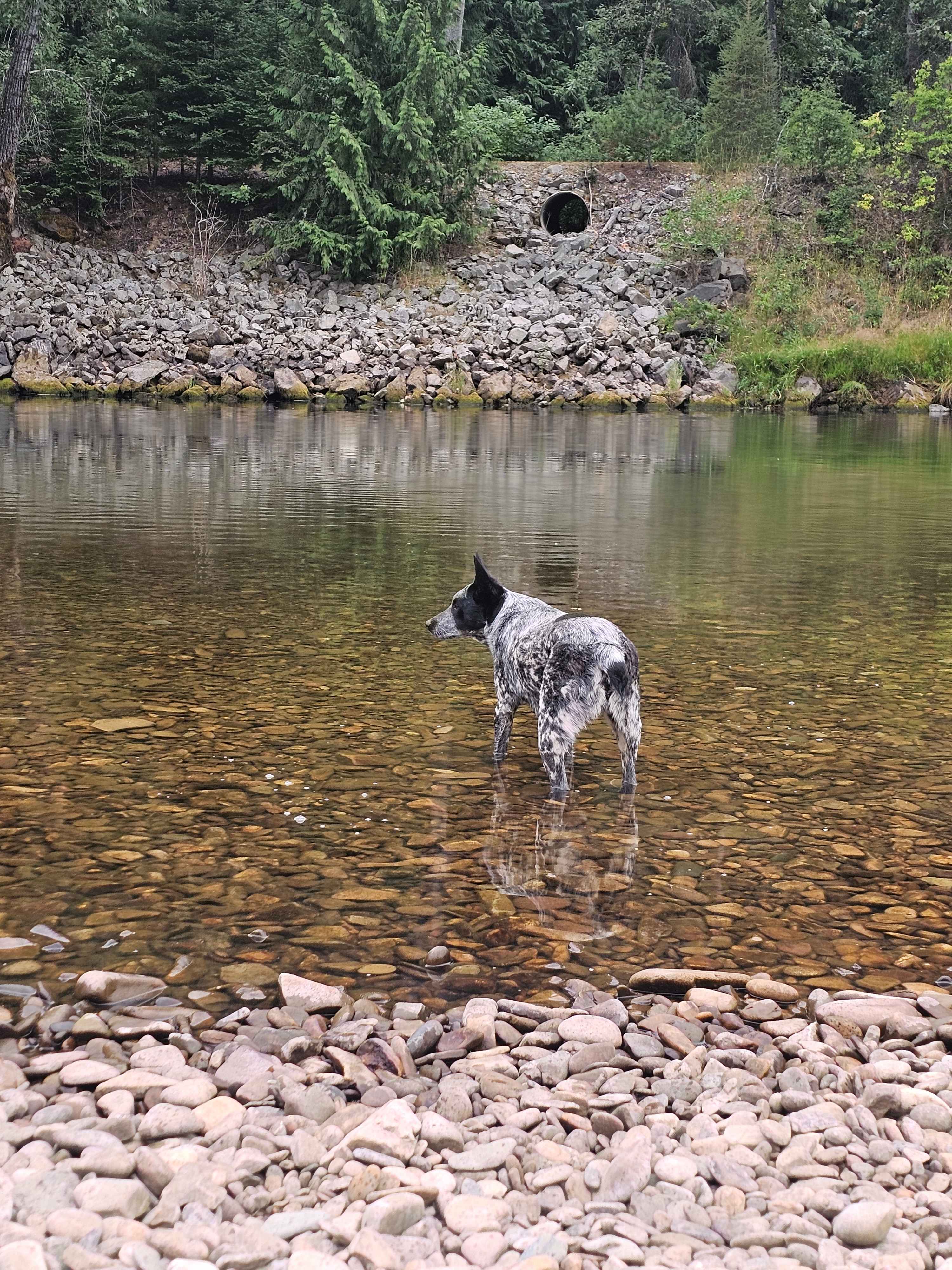 South Mission Cataldo Campground
