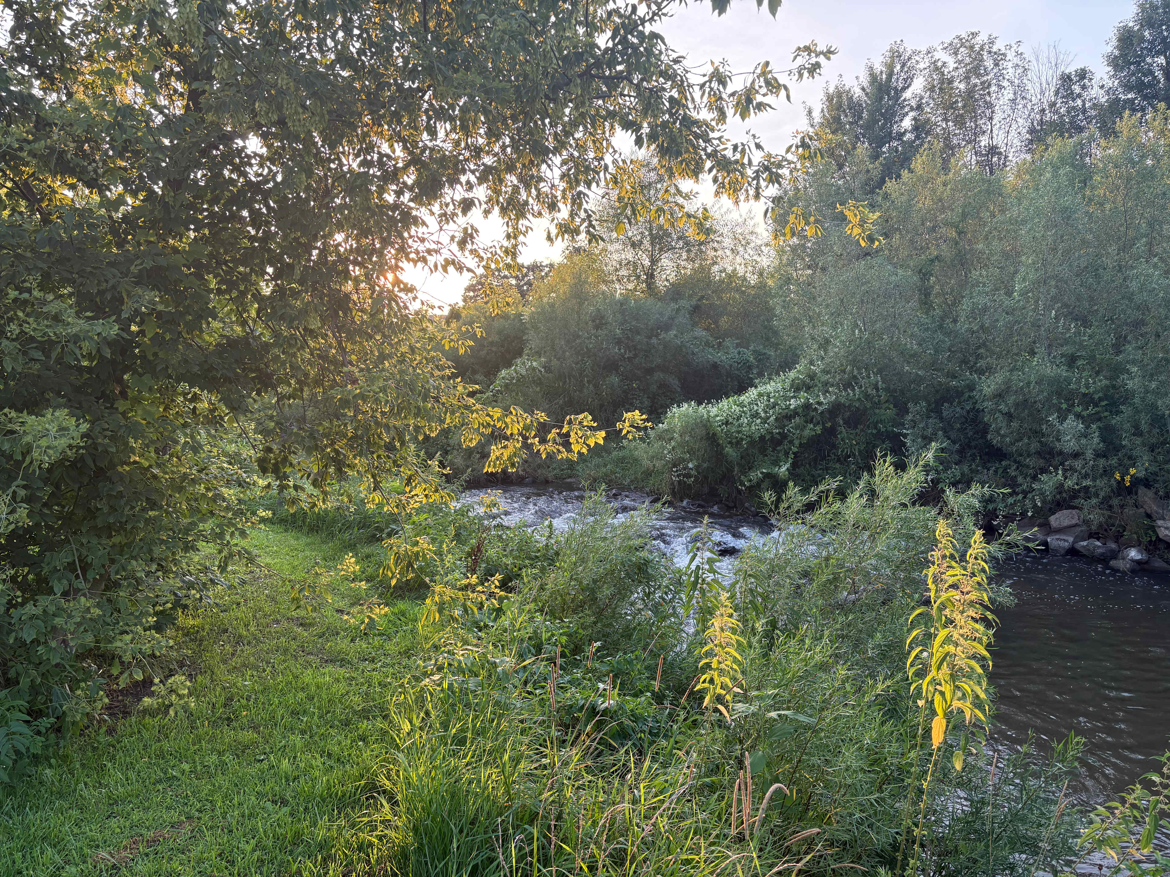 Pine River Campsites