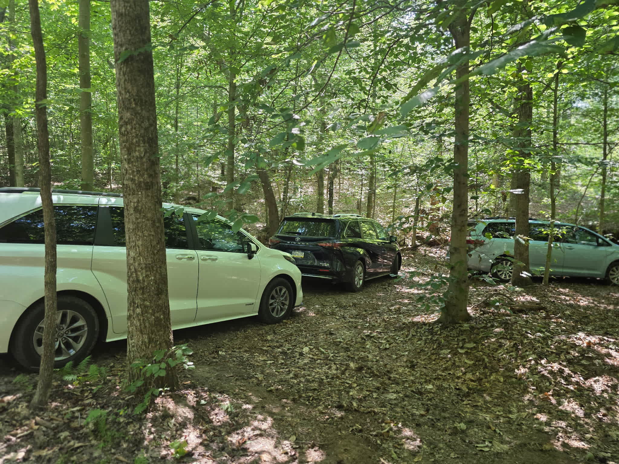 Phantom Hill Forest Retreats