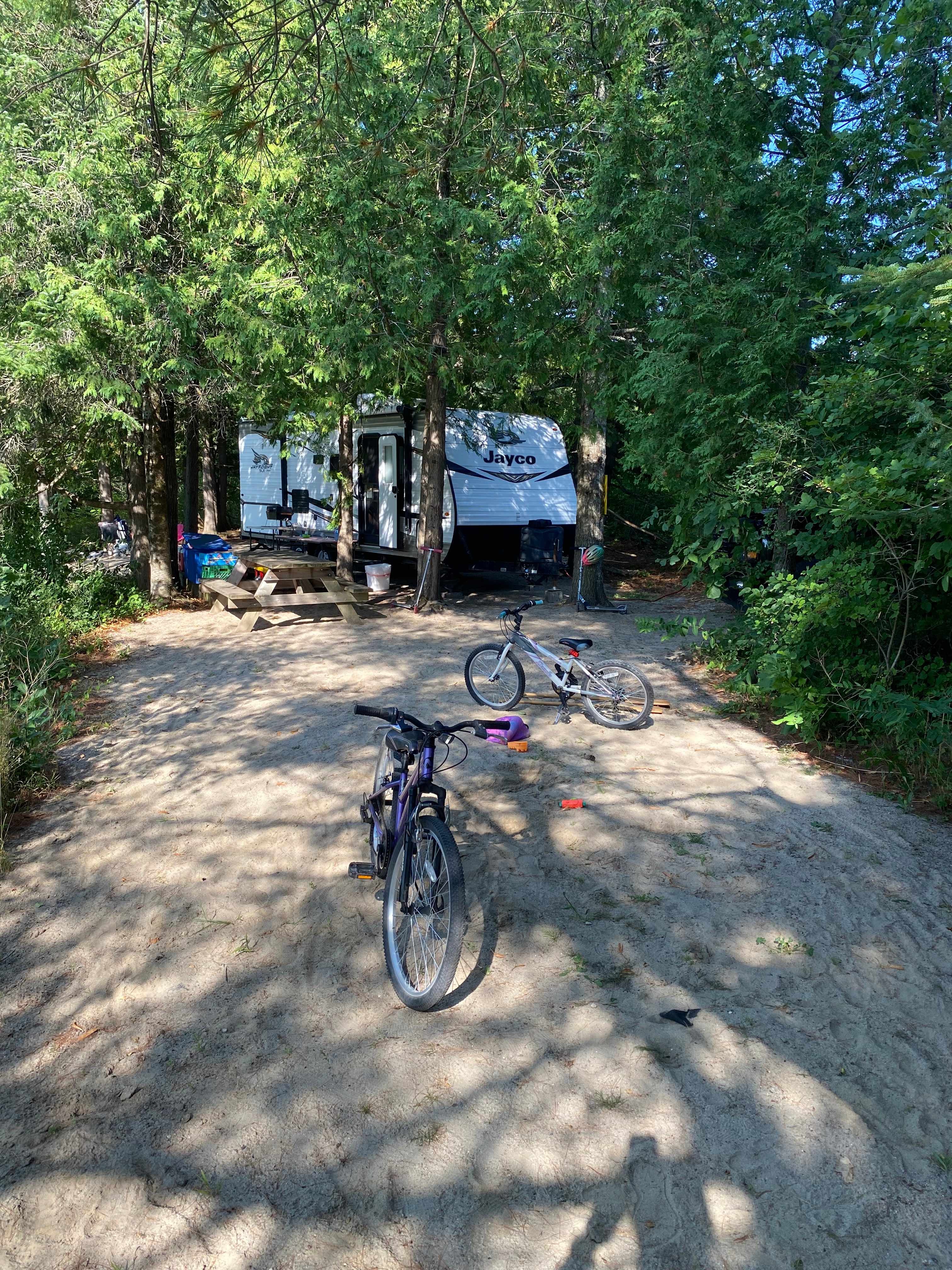 Our 26ft trailer tucked in between the trees. 