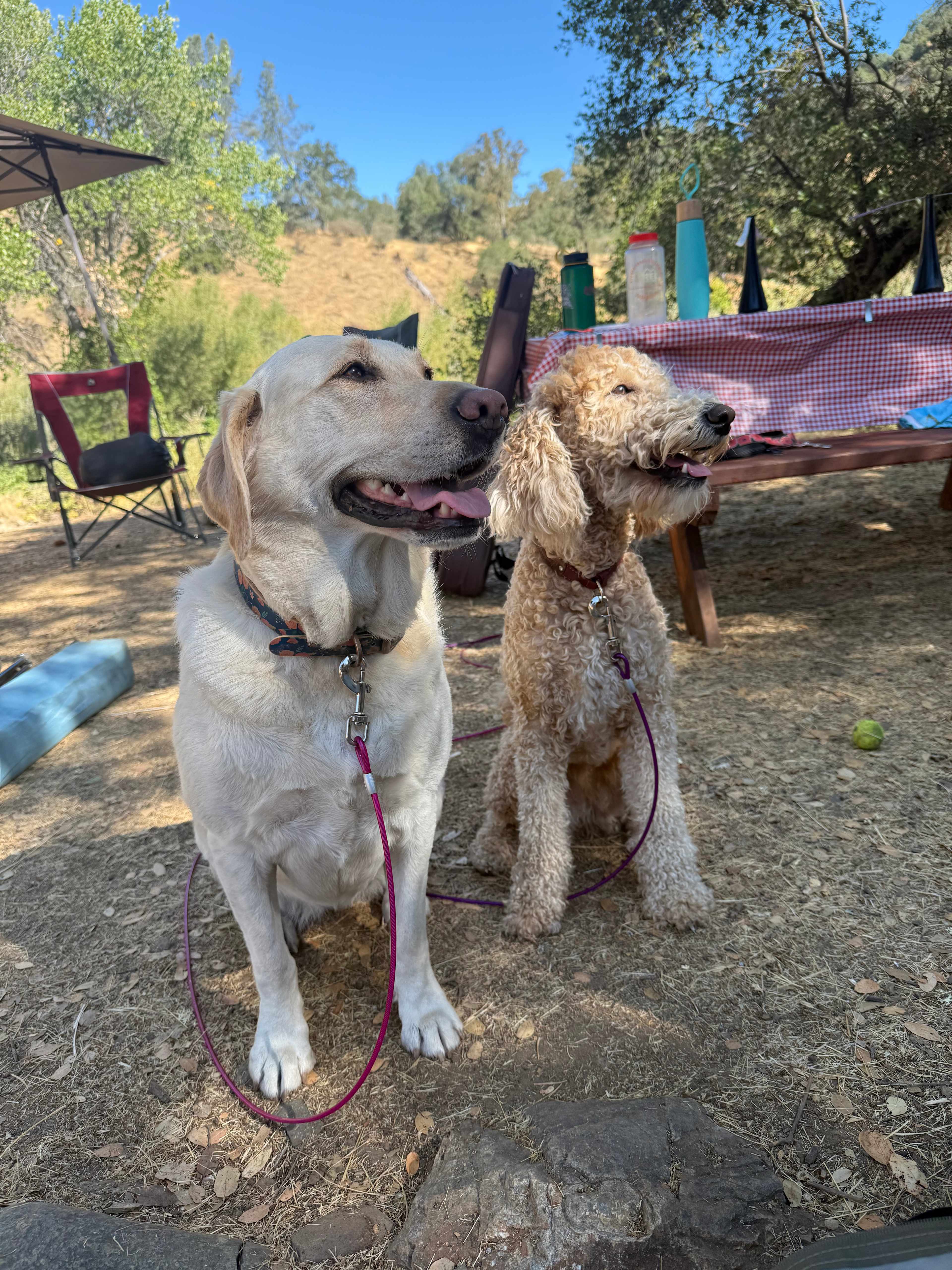 Cosumnes River Ranch