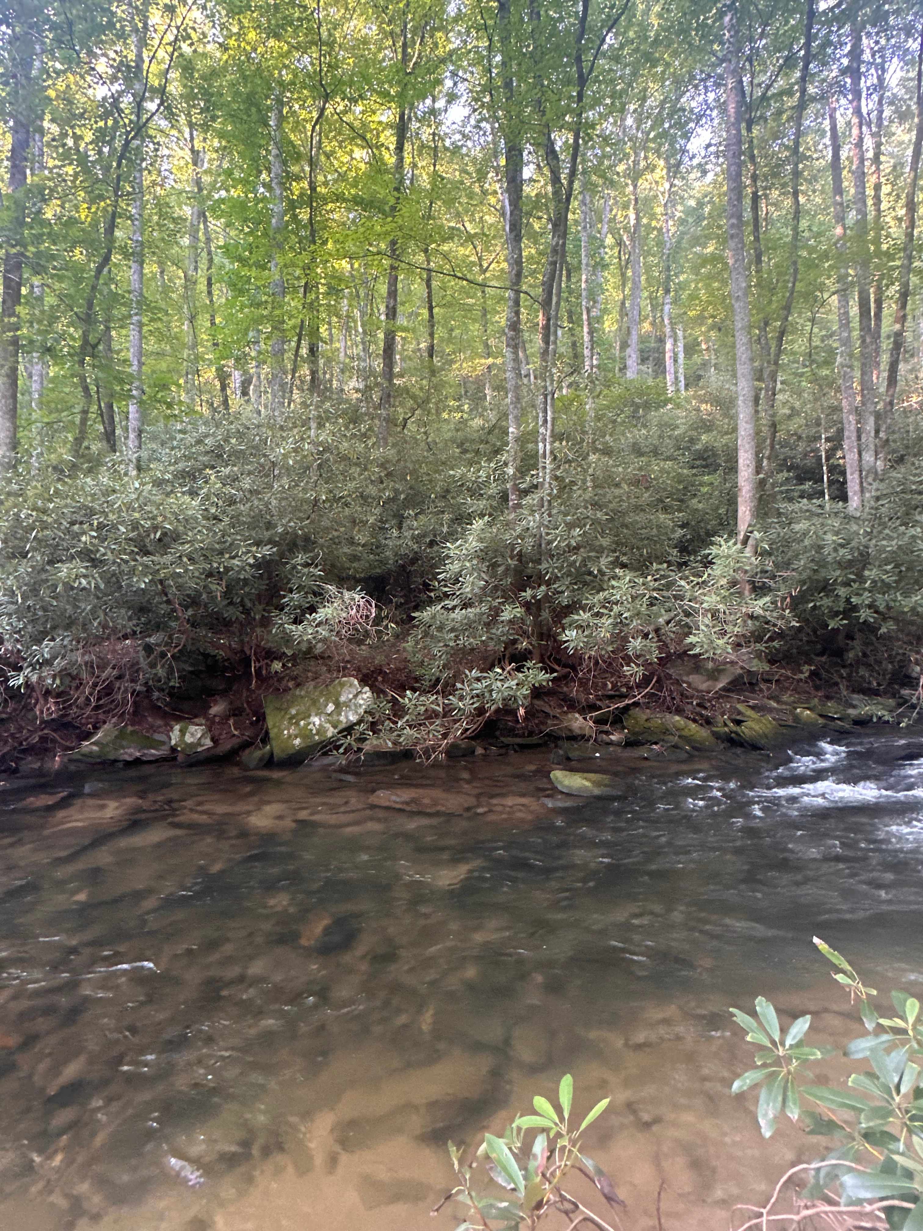 Biker’s Dream On N. Mills River