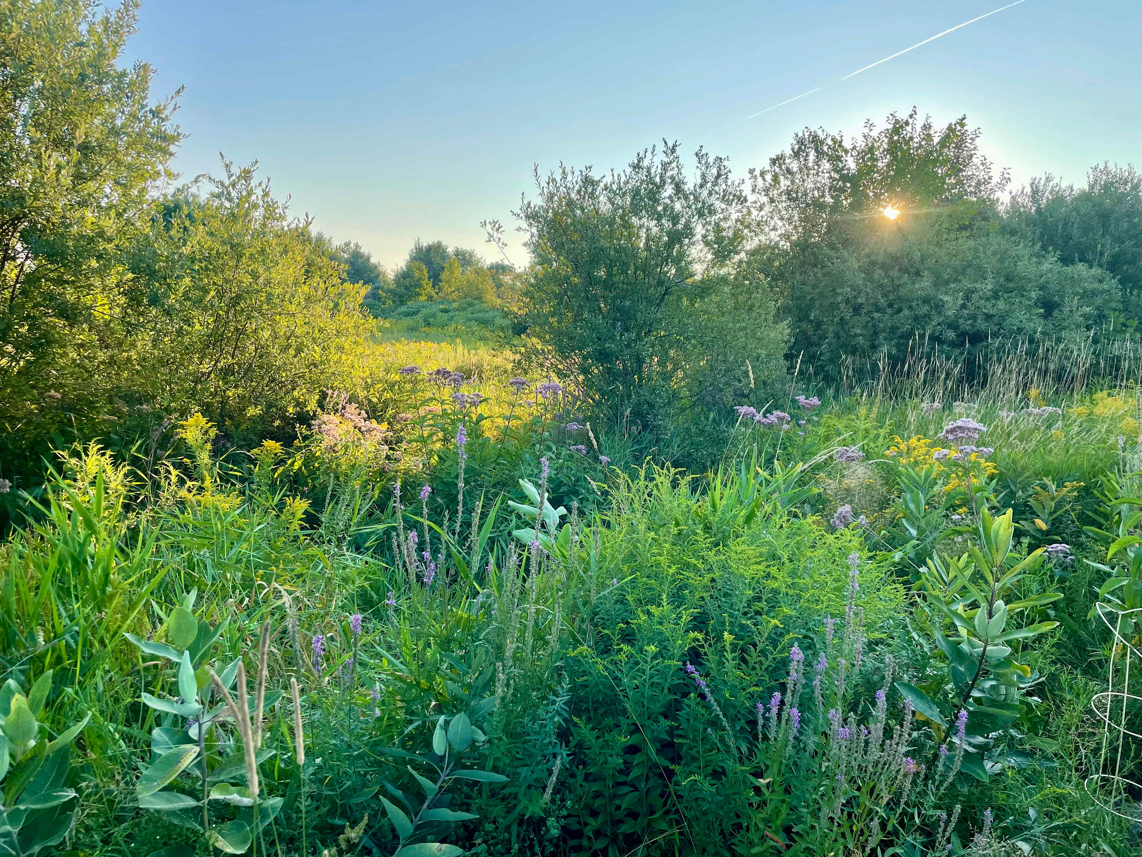 Agape Gardens - Nature Retreat