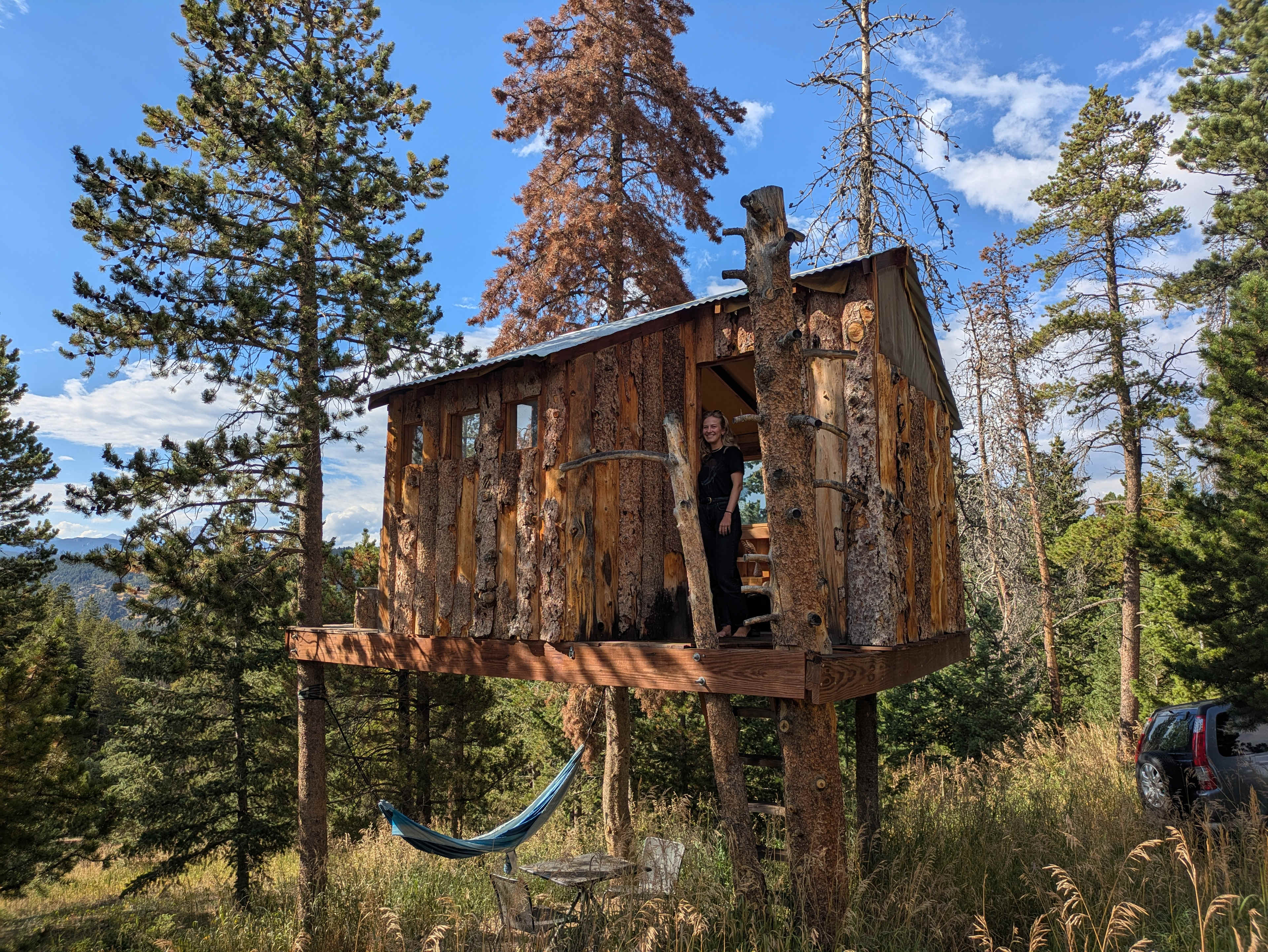 Gold Nugget Tree House