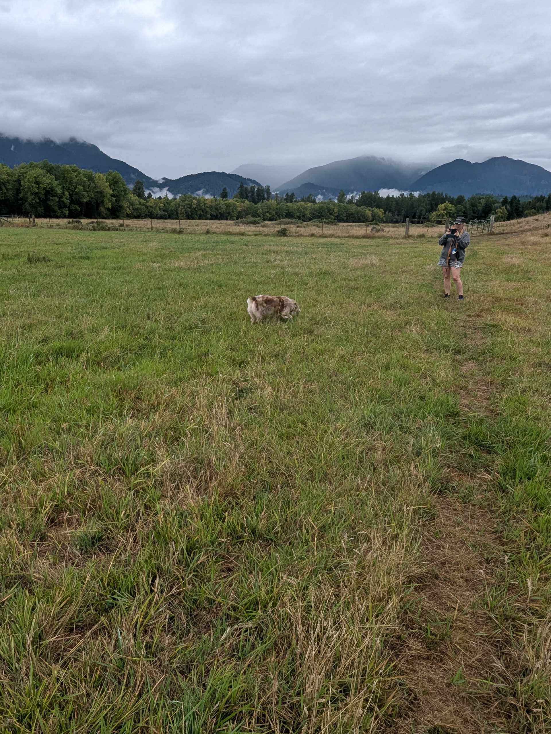 Painter’s Paradise