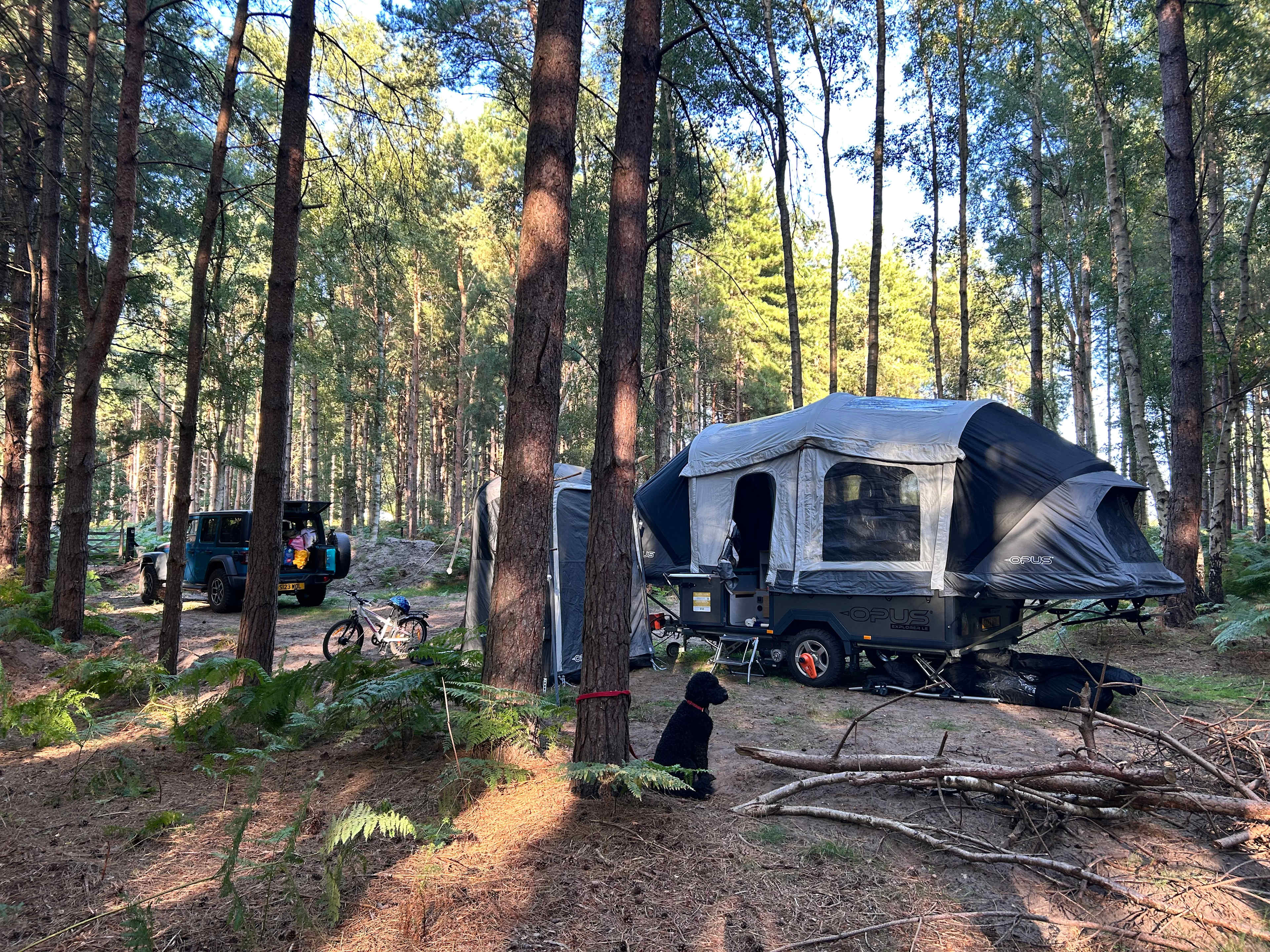 Holistic Woods Wild Campsite