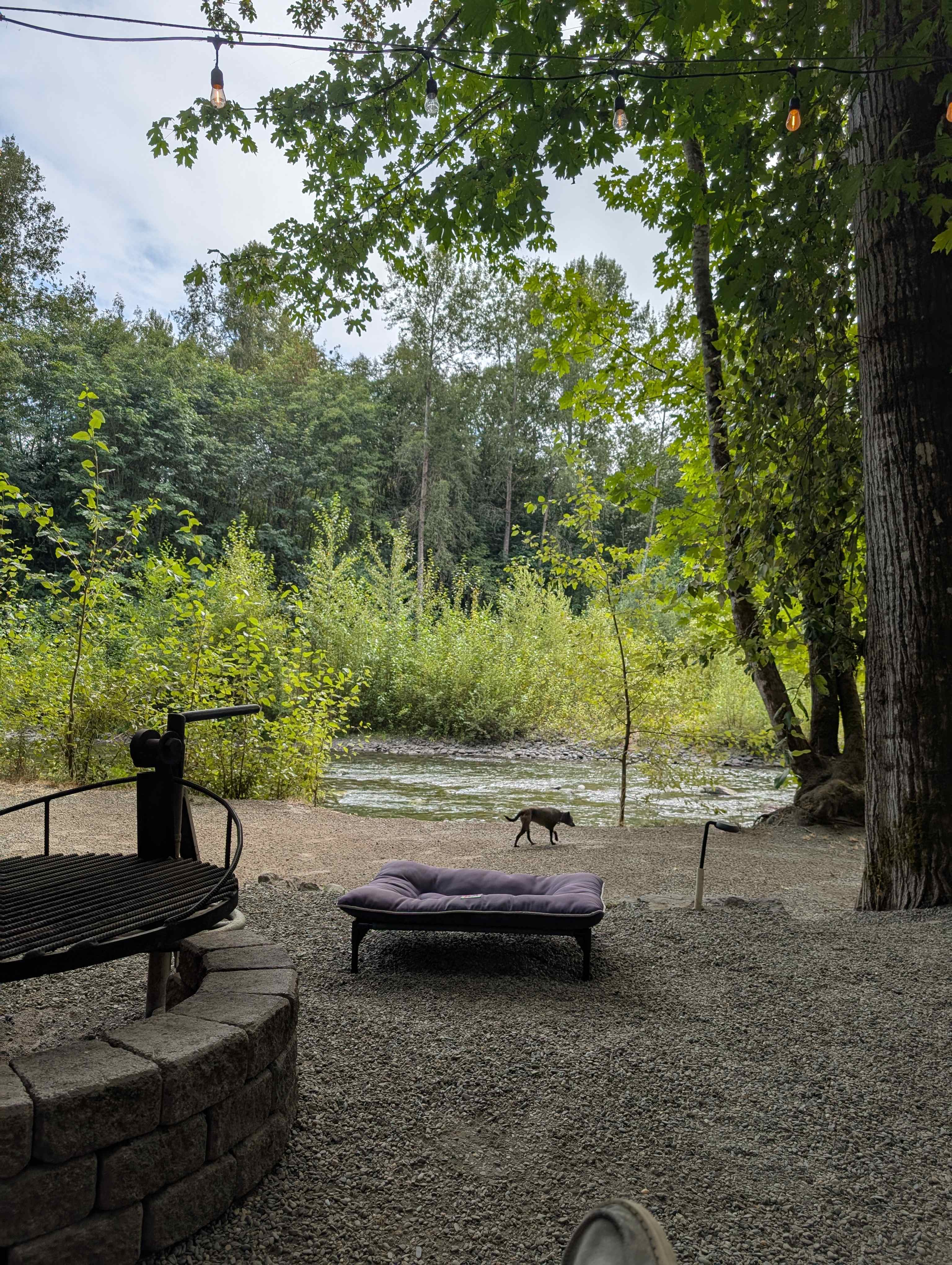 Dick's Last Resort on the River