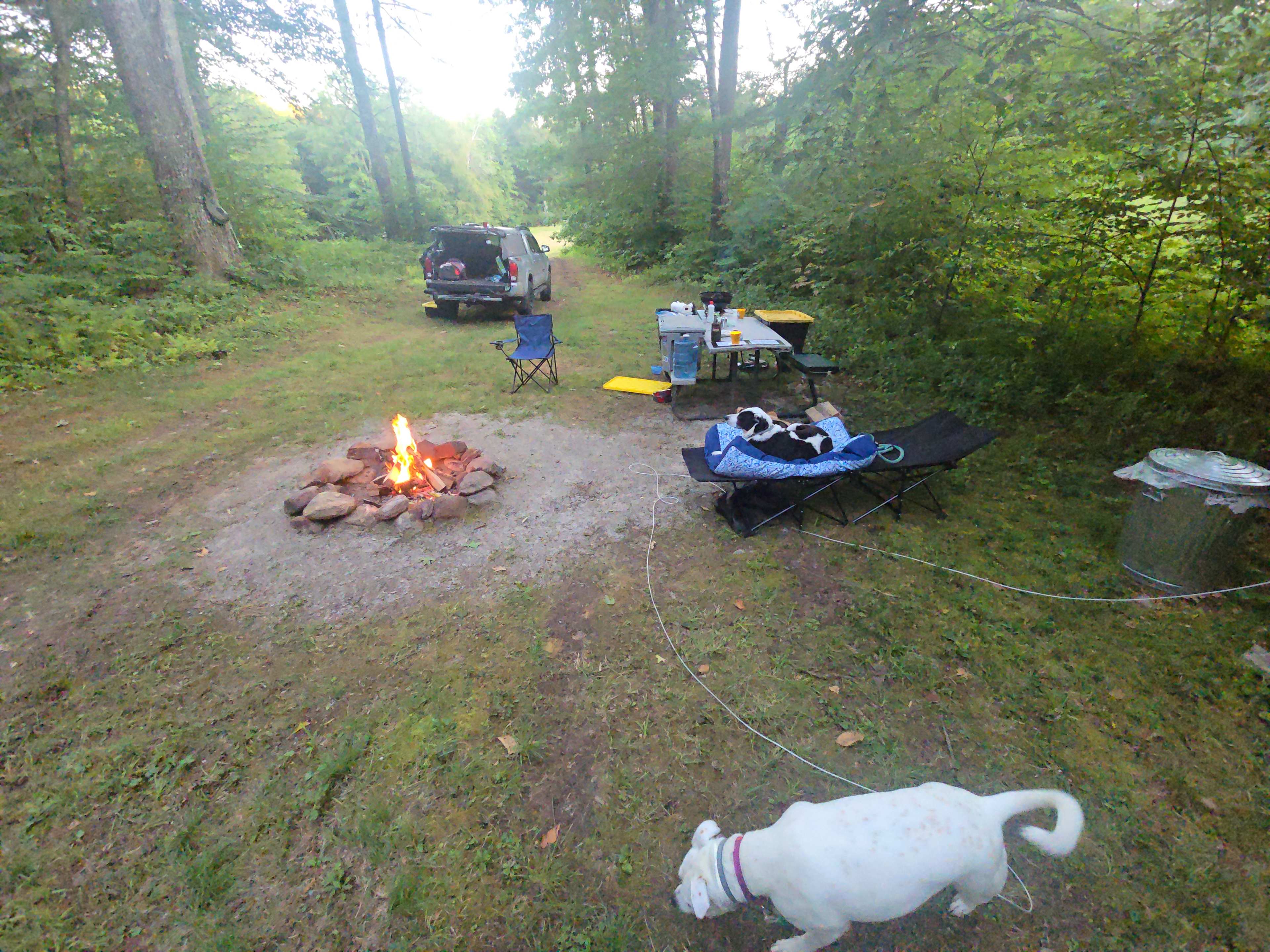 Pitch Perfect at Canterbrook