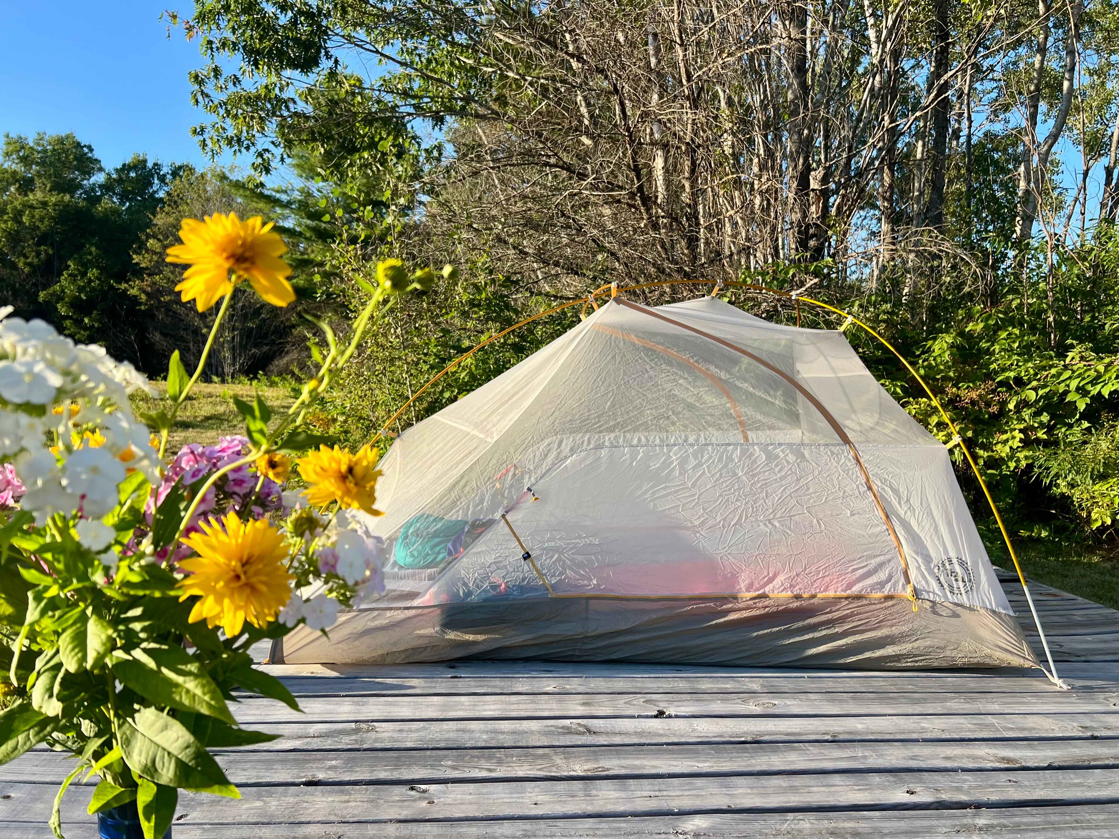 Fresh cut flowers at the site when we showed up