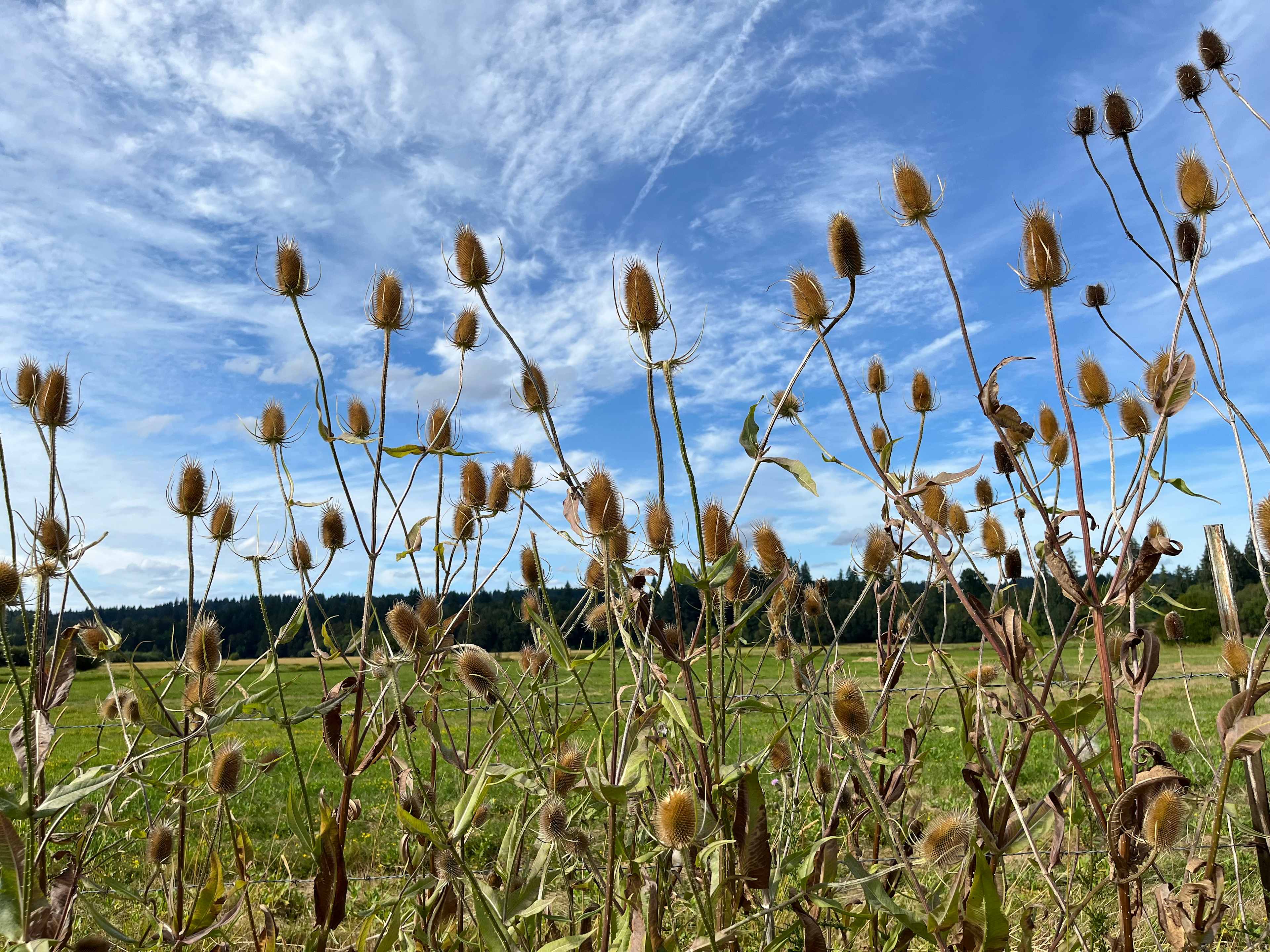 Bar UK River Ranch Camp & Ride