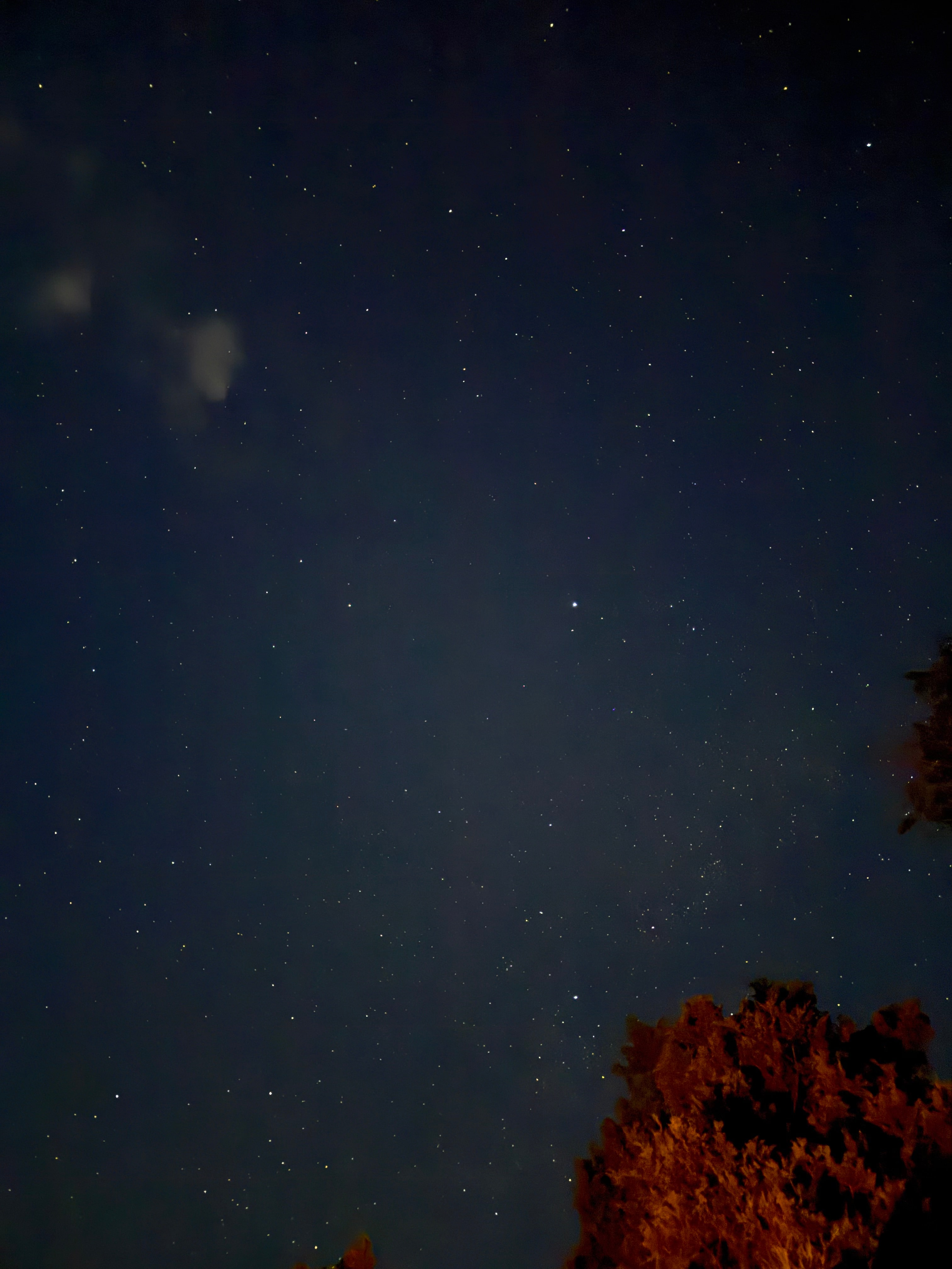 Resort Valley Ranch East