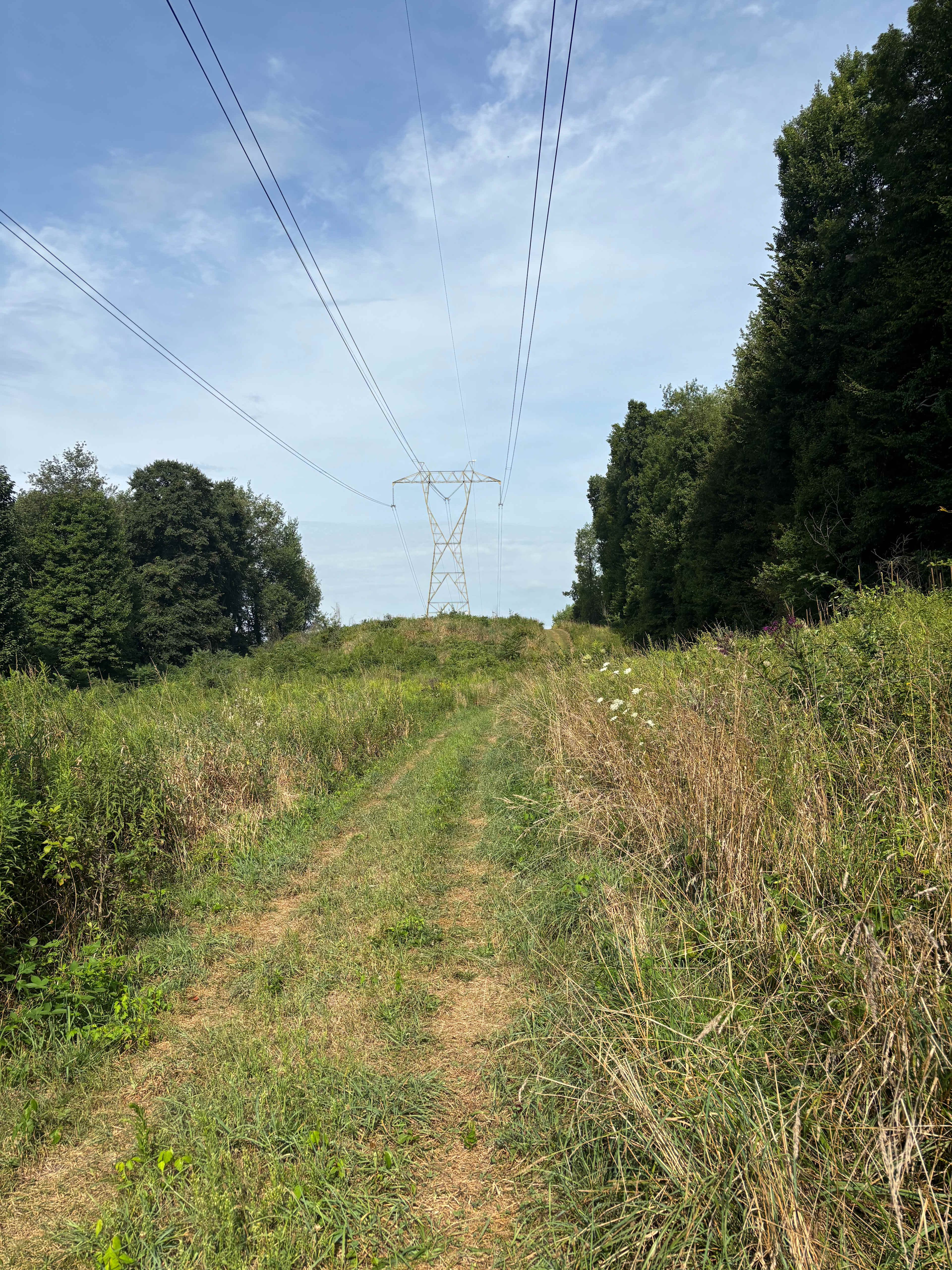 The Camp Cabin at the Hallstead