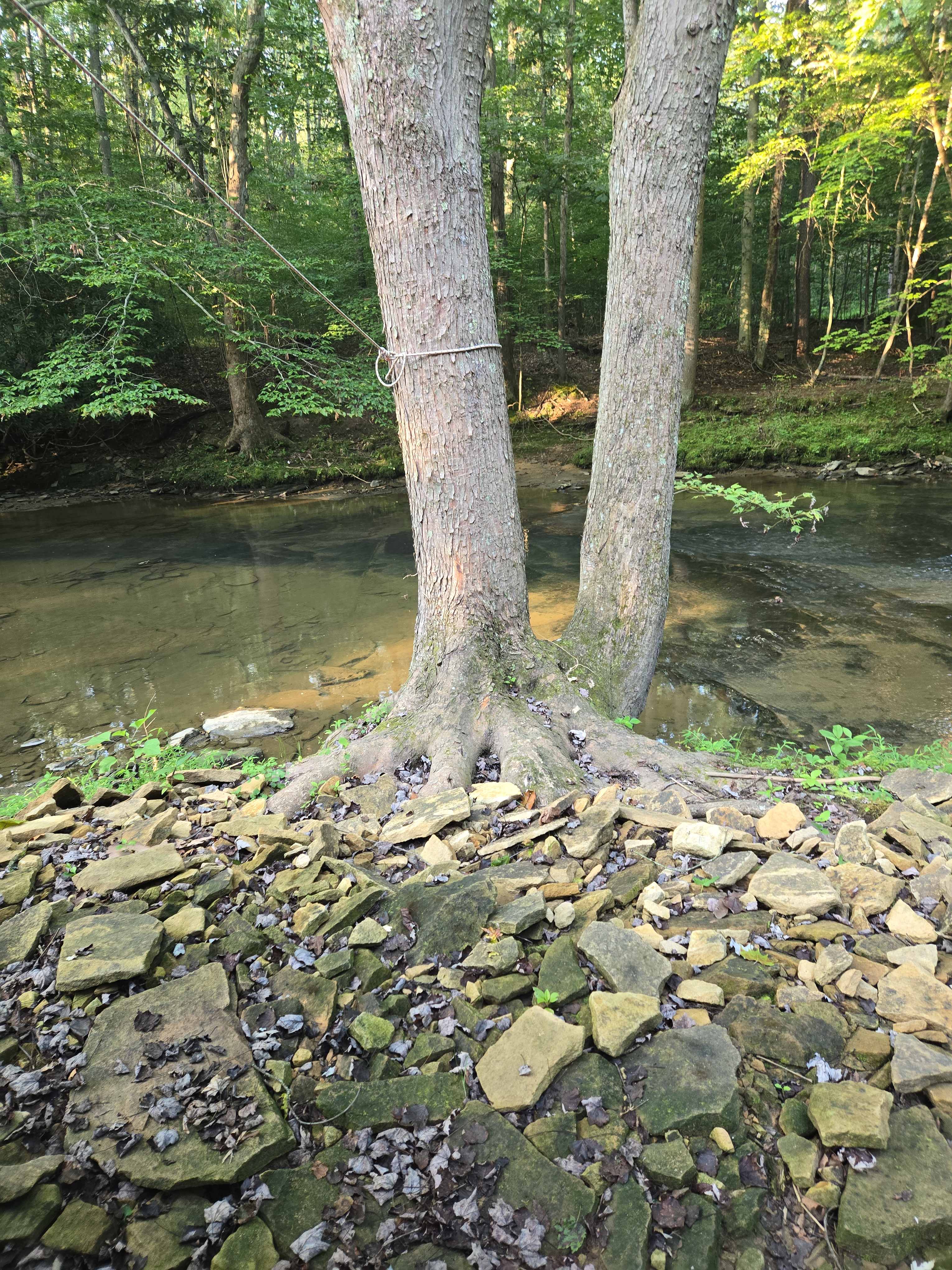 Creekside Haven at the Farm