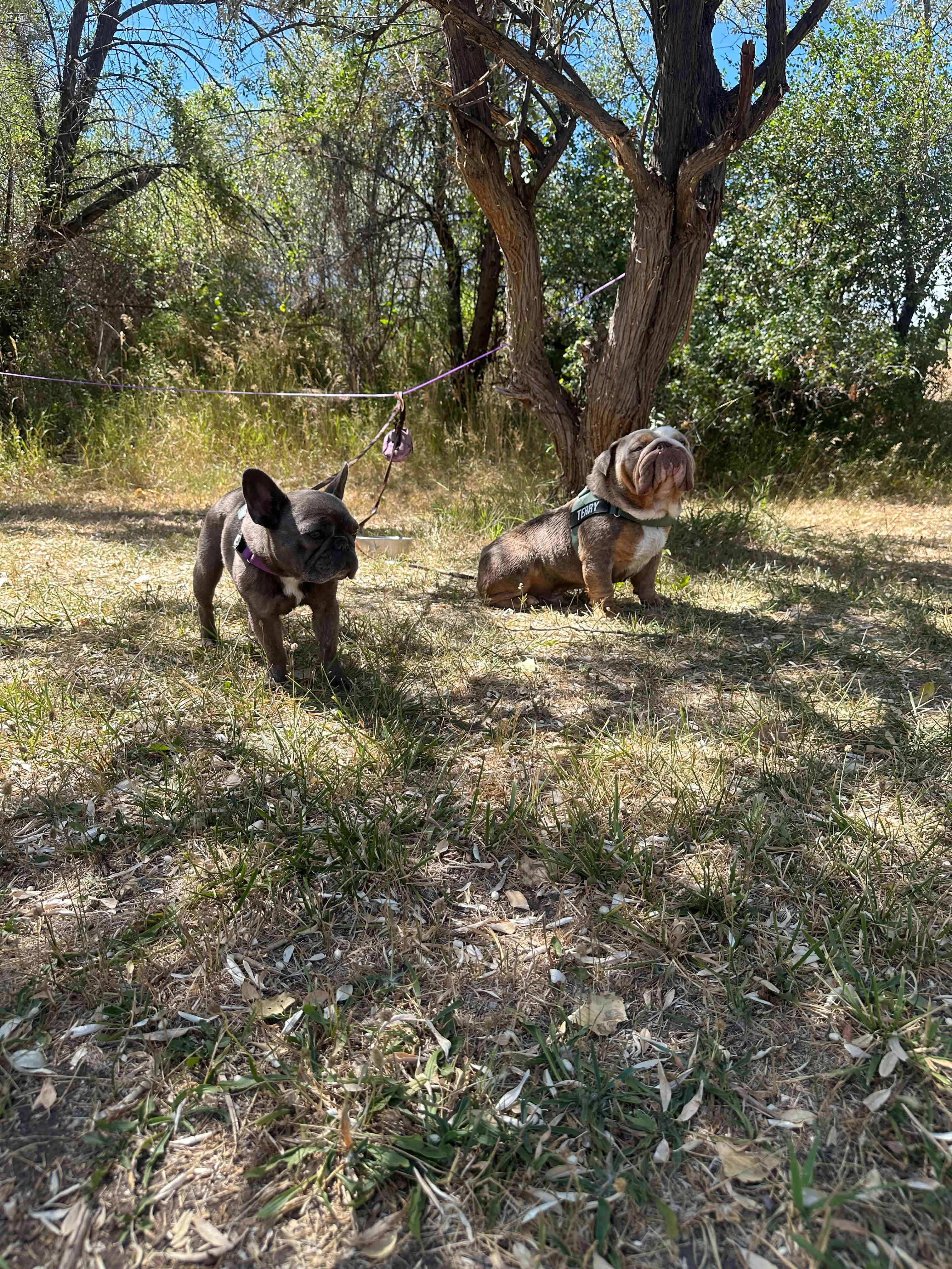 Colorado River Camp Has It All!