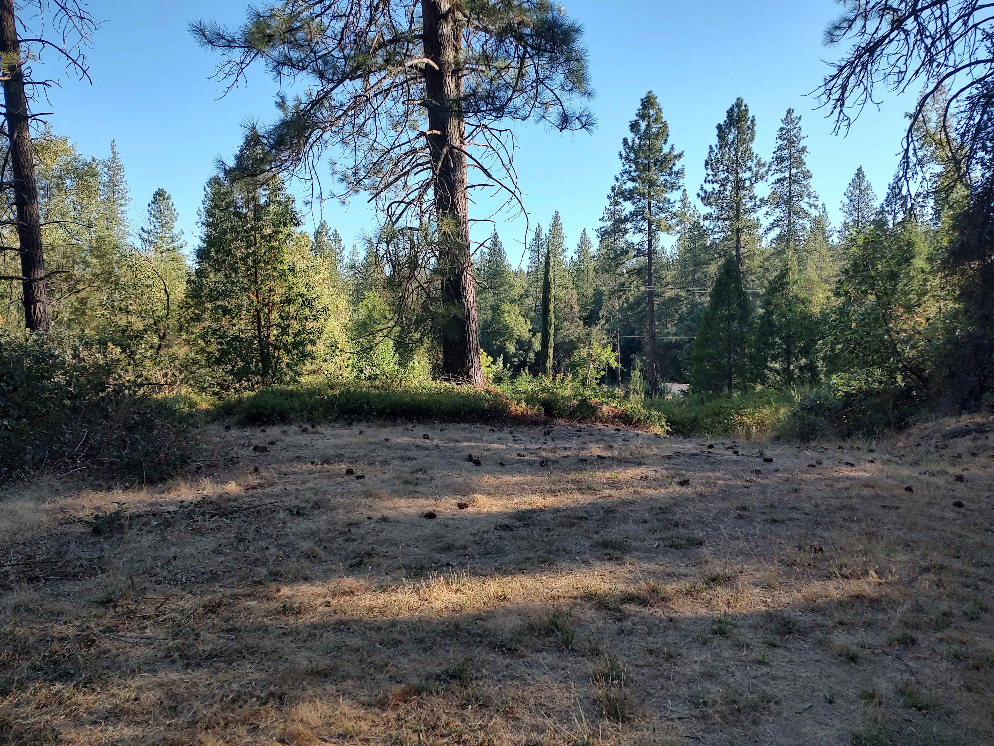 Purdon crossing Yuba campground.