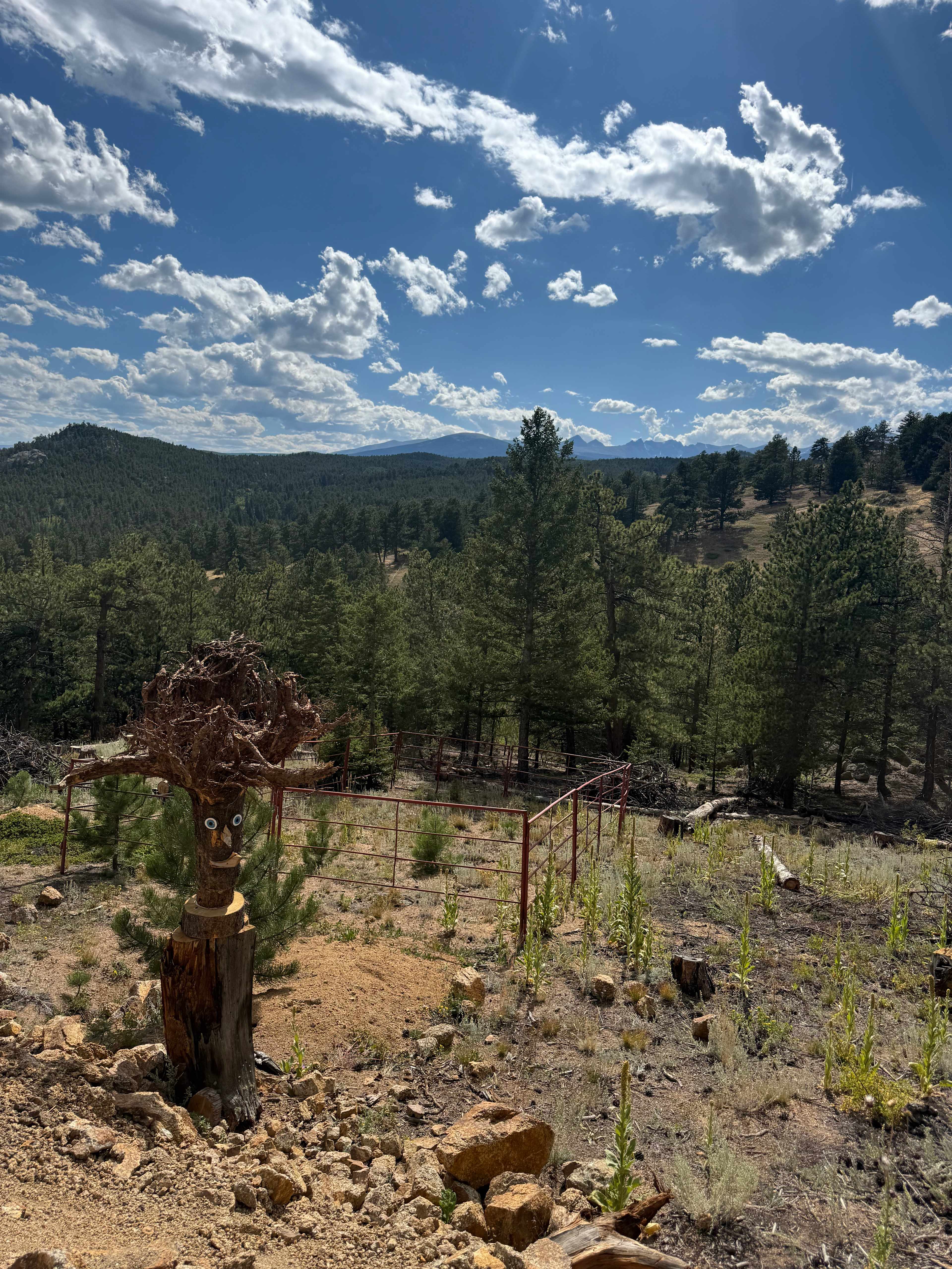 A little friend to keep you company 