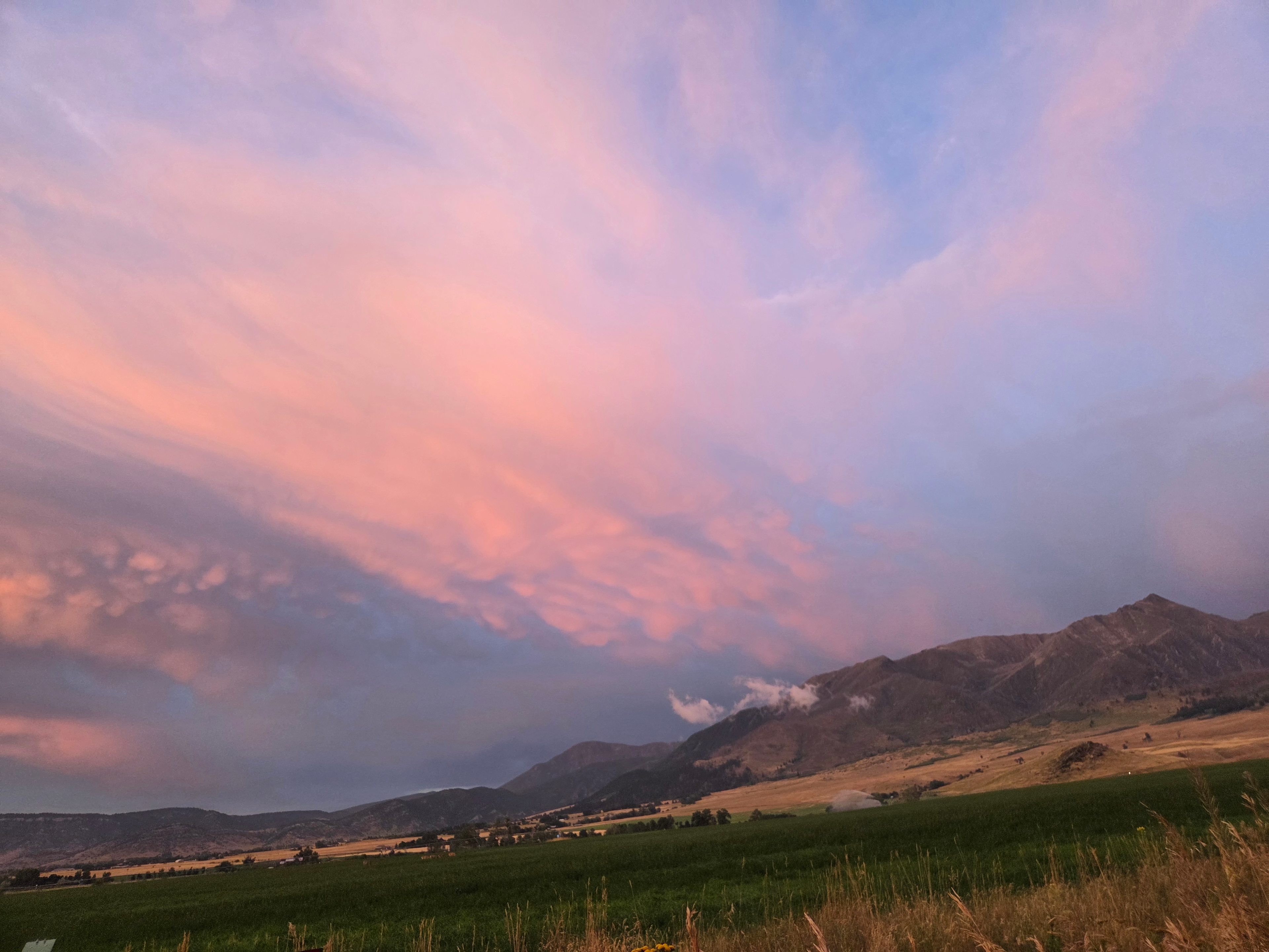 Cotton candy sky views 