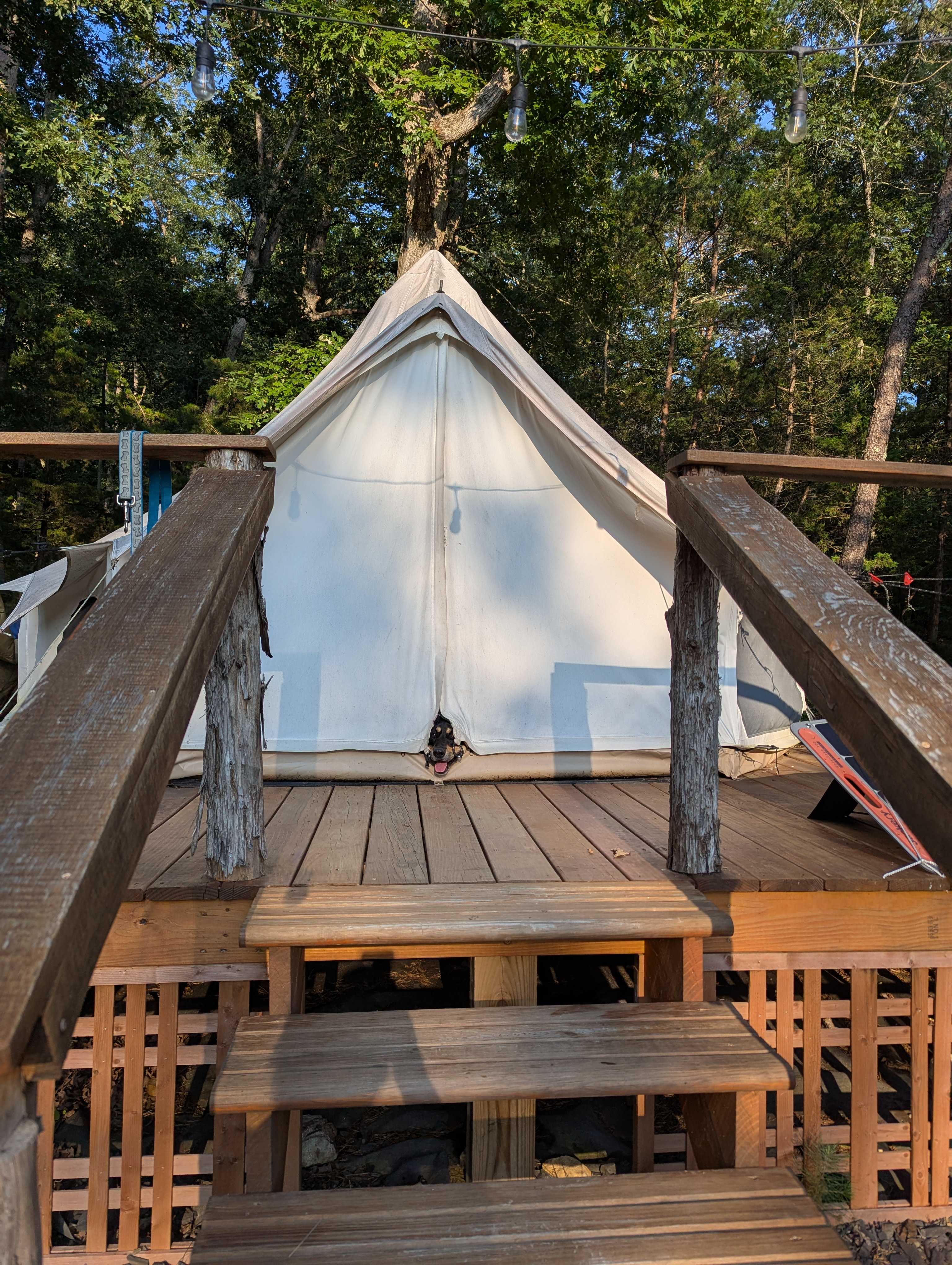 Our silly pup loved it here 