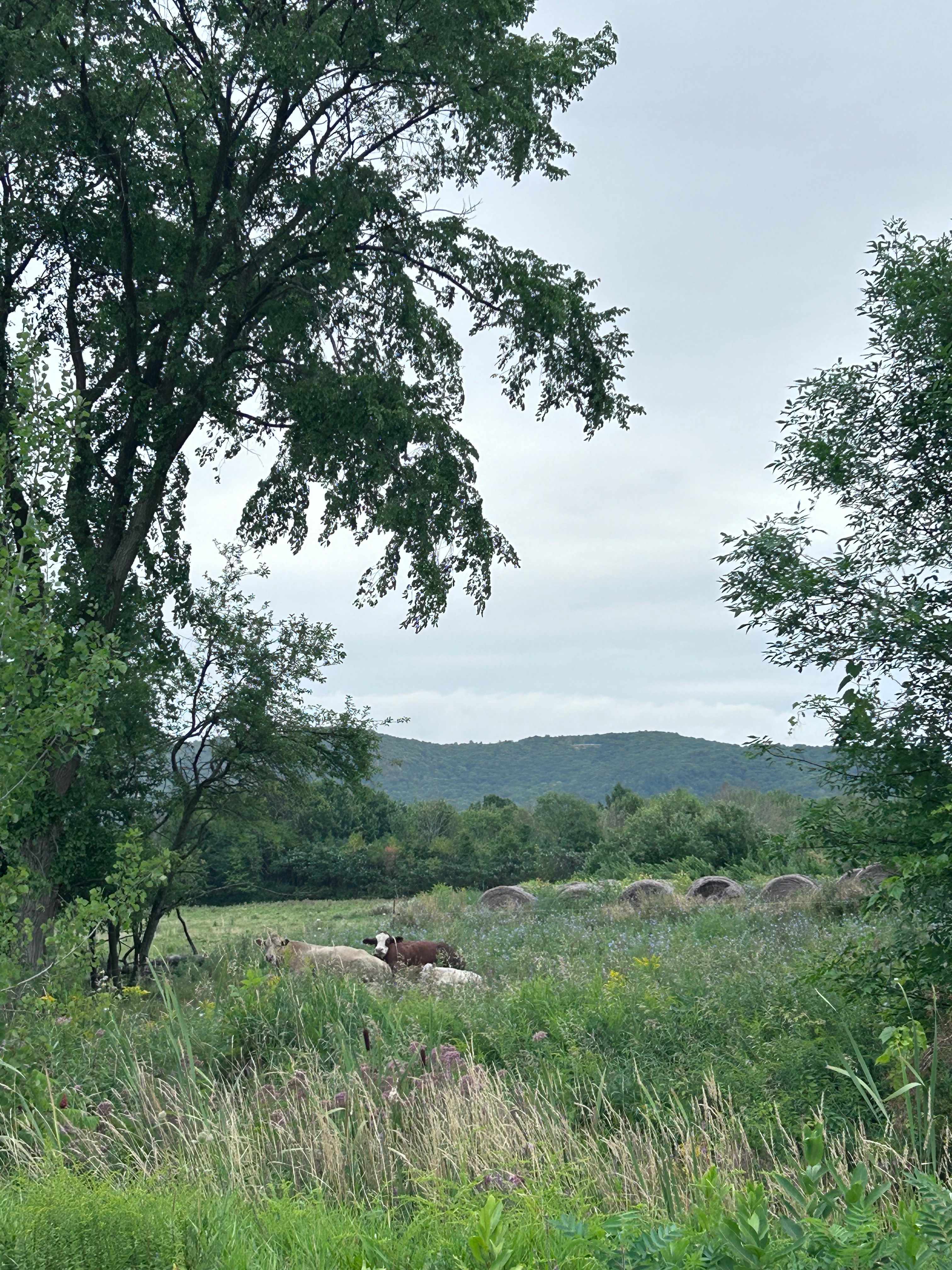 Agape Gardens - Nature Retreat