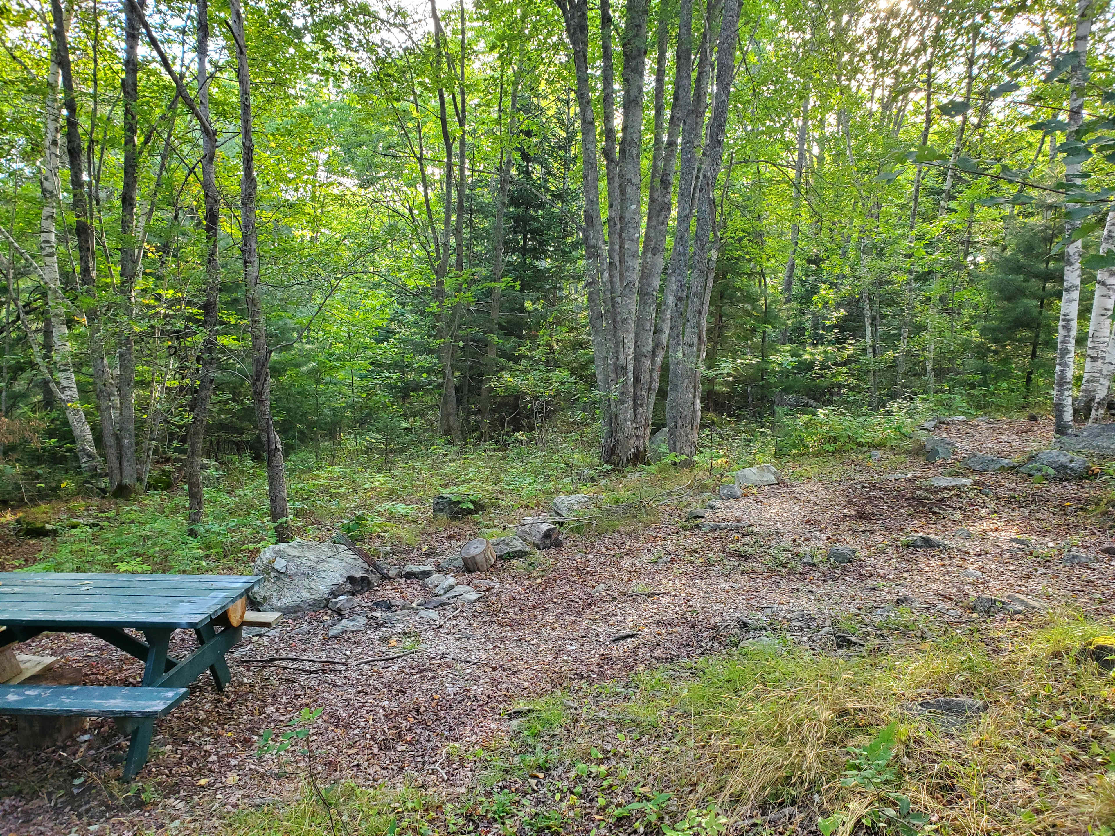 Backroad to Acadia