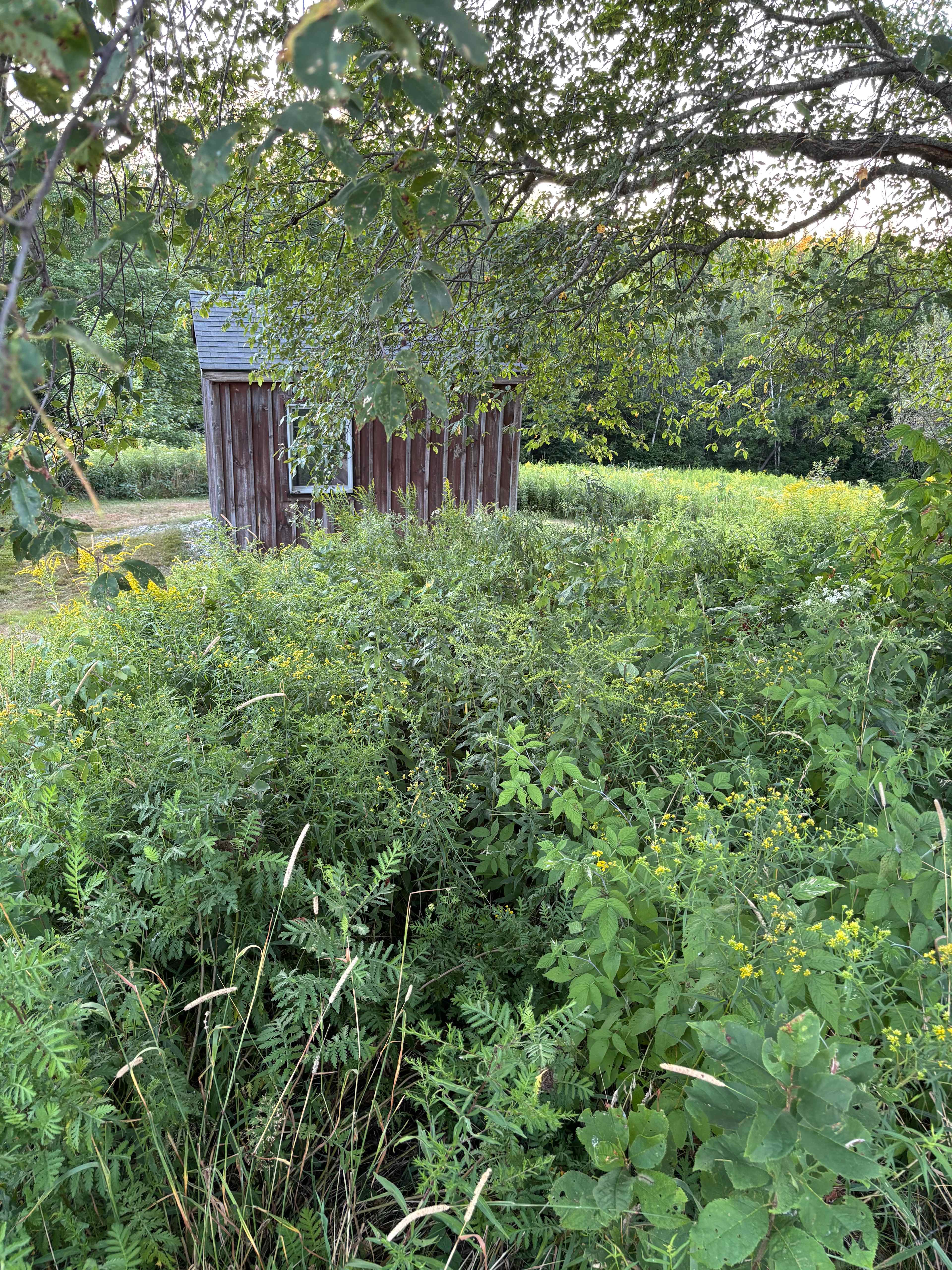 BlueberryHill  Field Camp