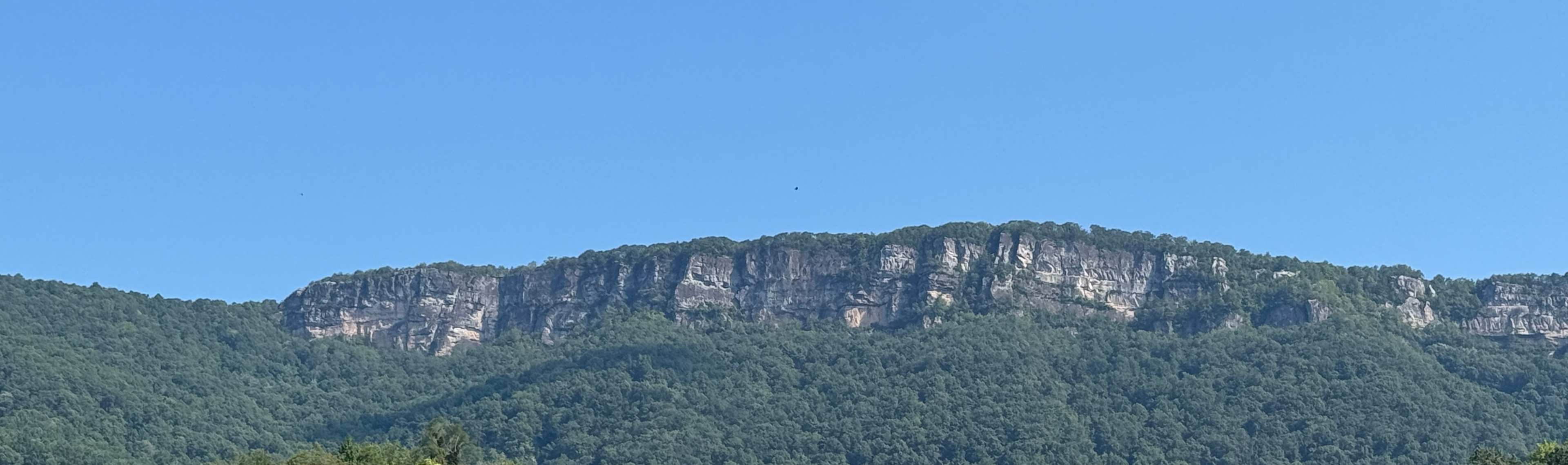 Rock Bottom Horse Camp