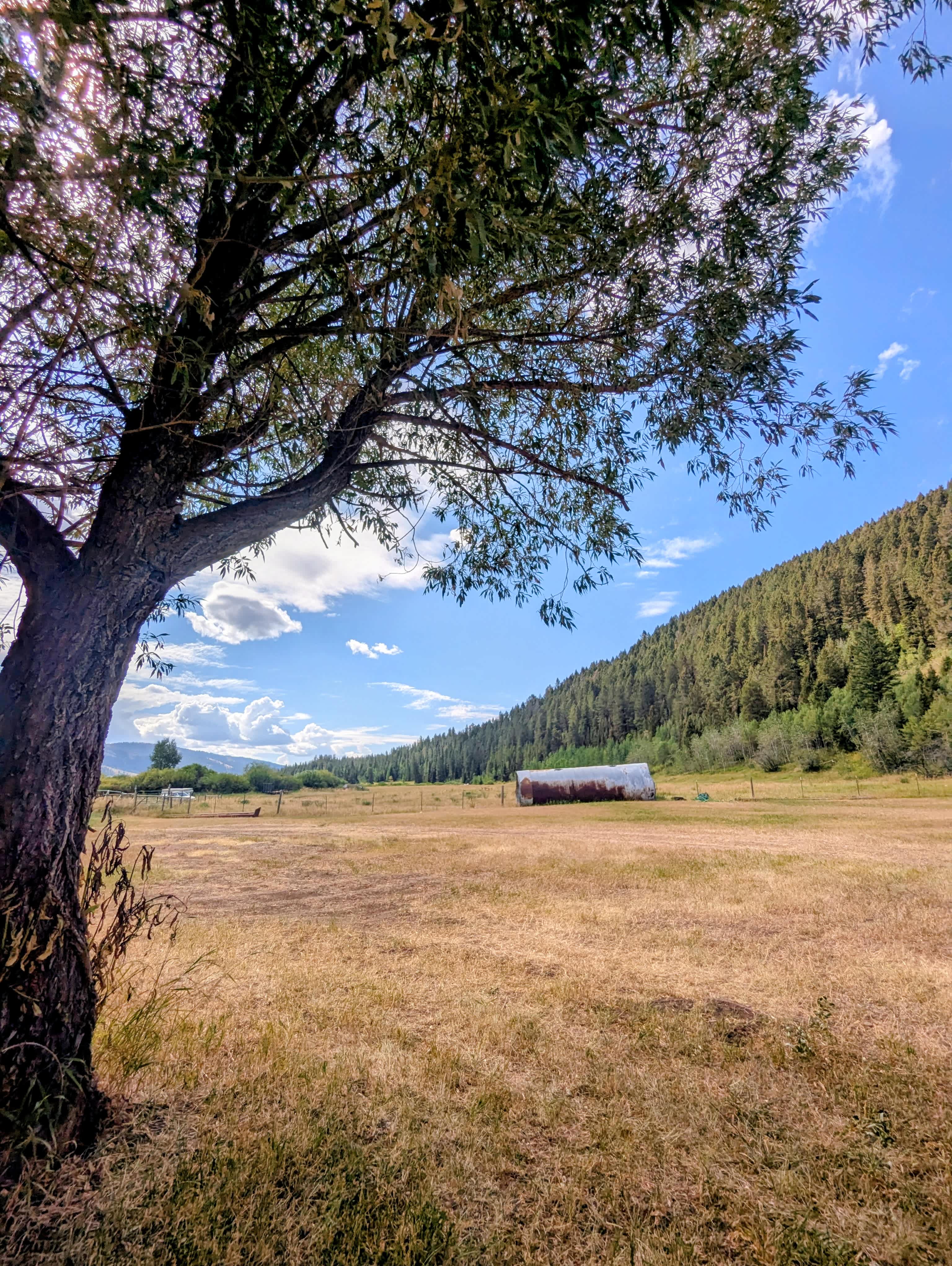 Star Gaze campground