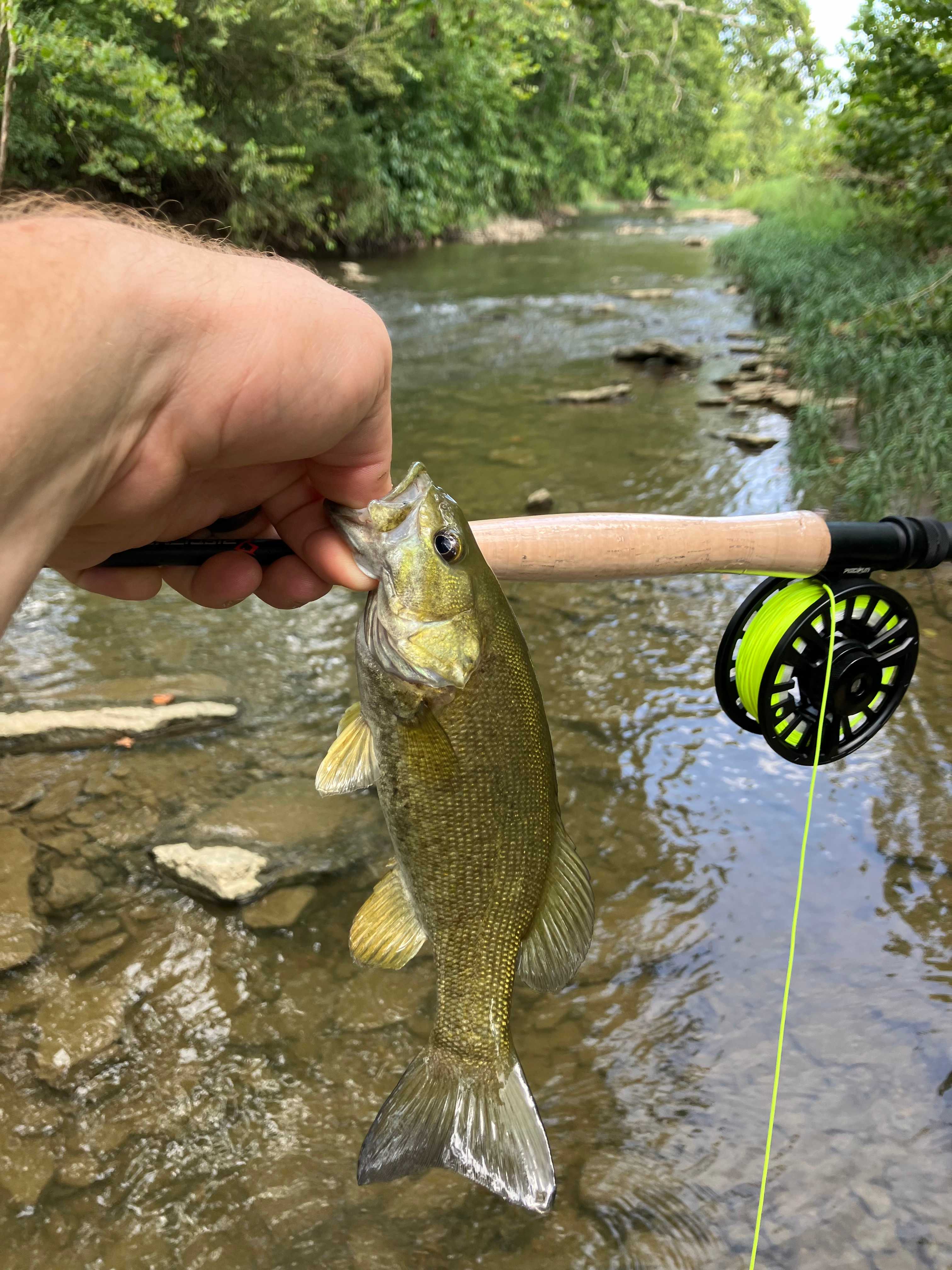 Todd’s Fork Adventures