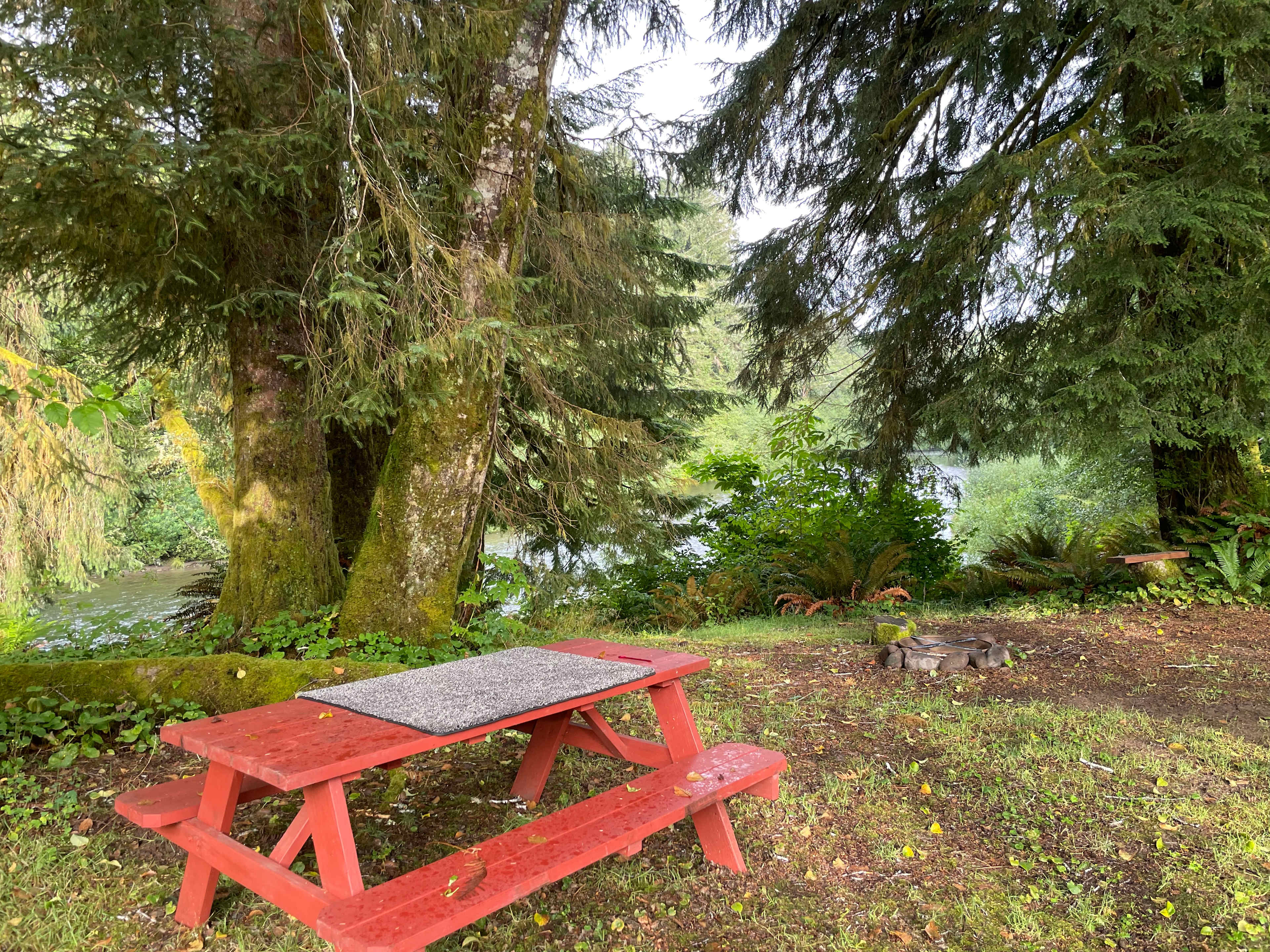 Salmon Run Campground