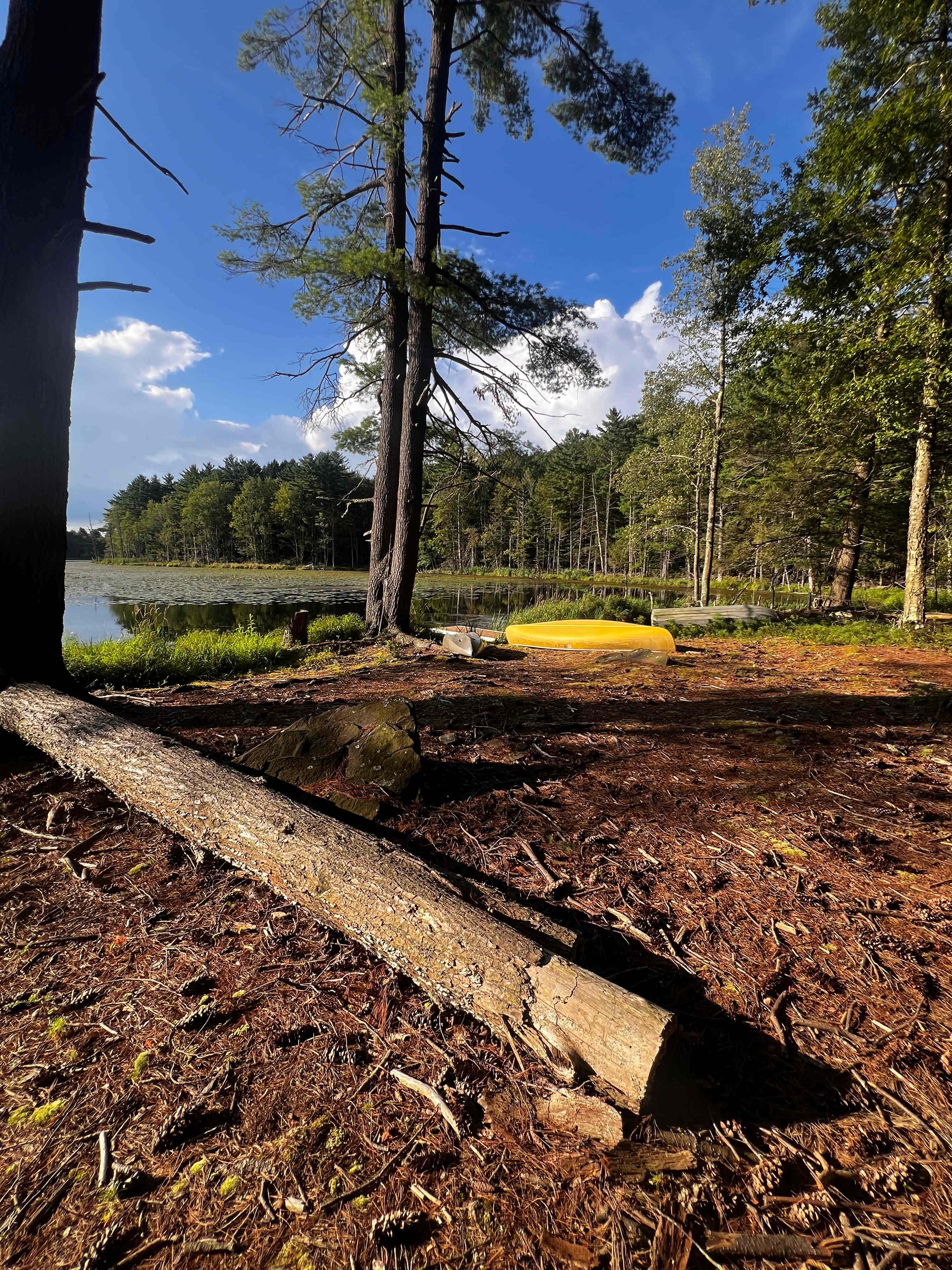 The Dam House At Beaver Pond