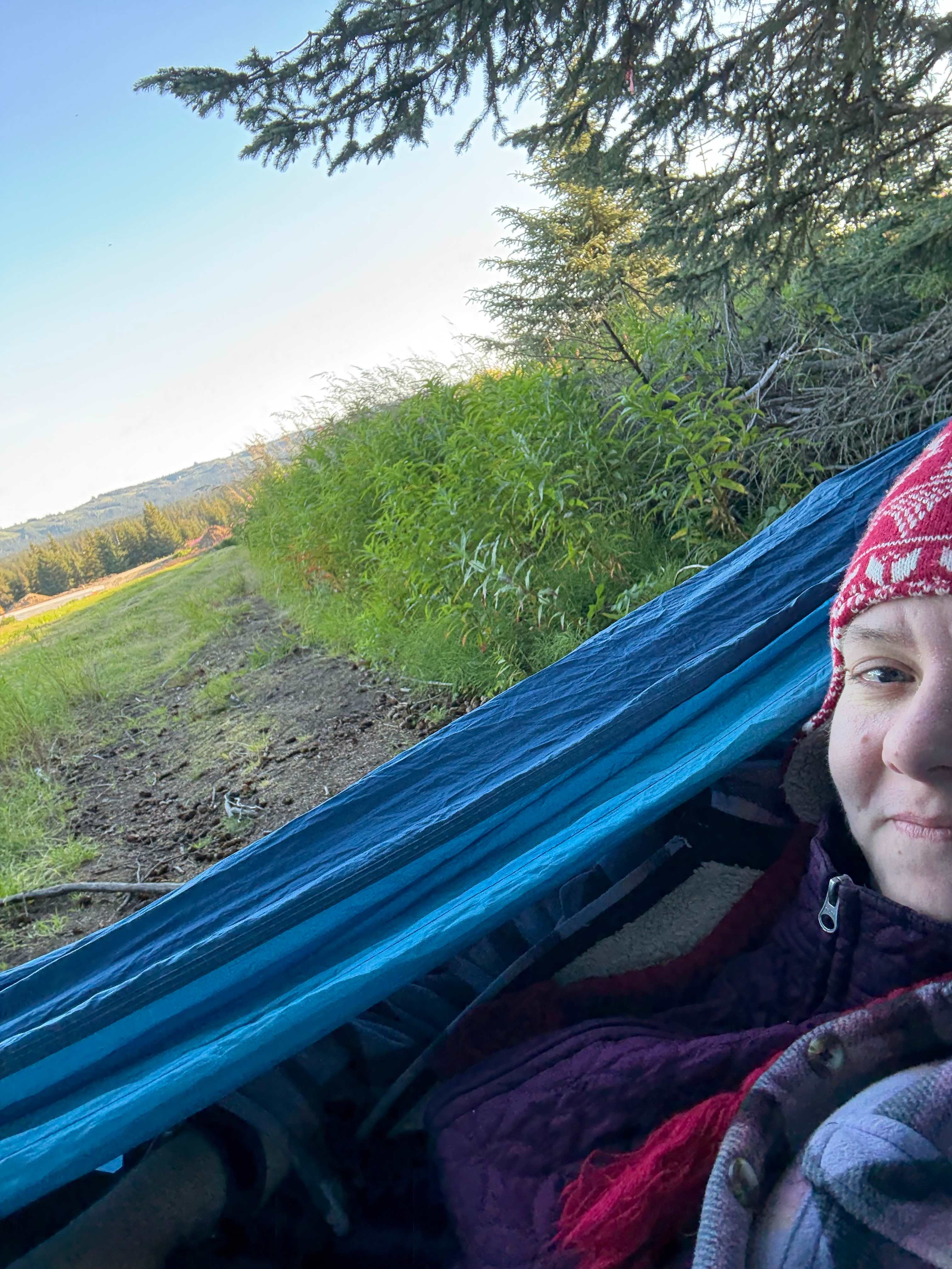 Hammock swinging in upper corner of the space