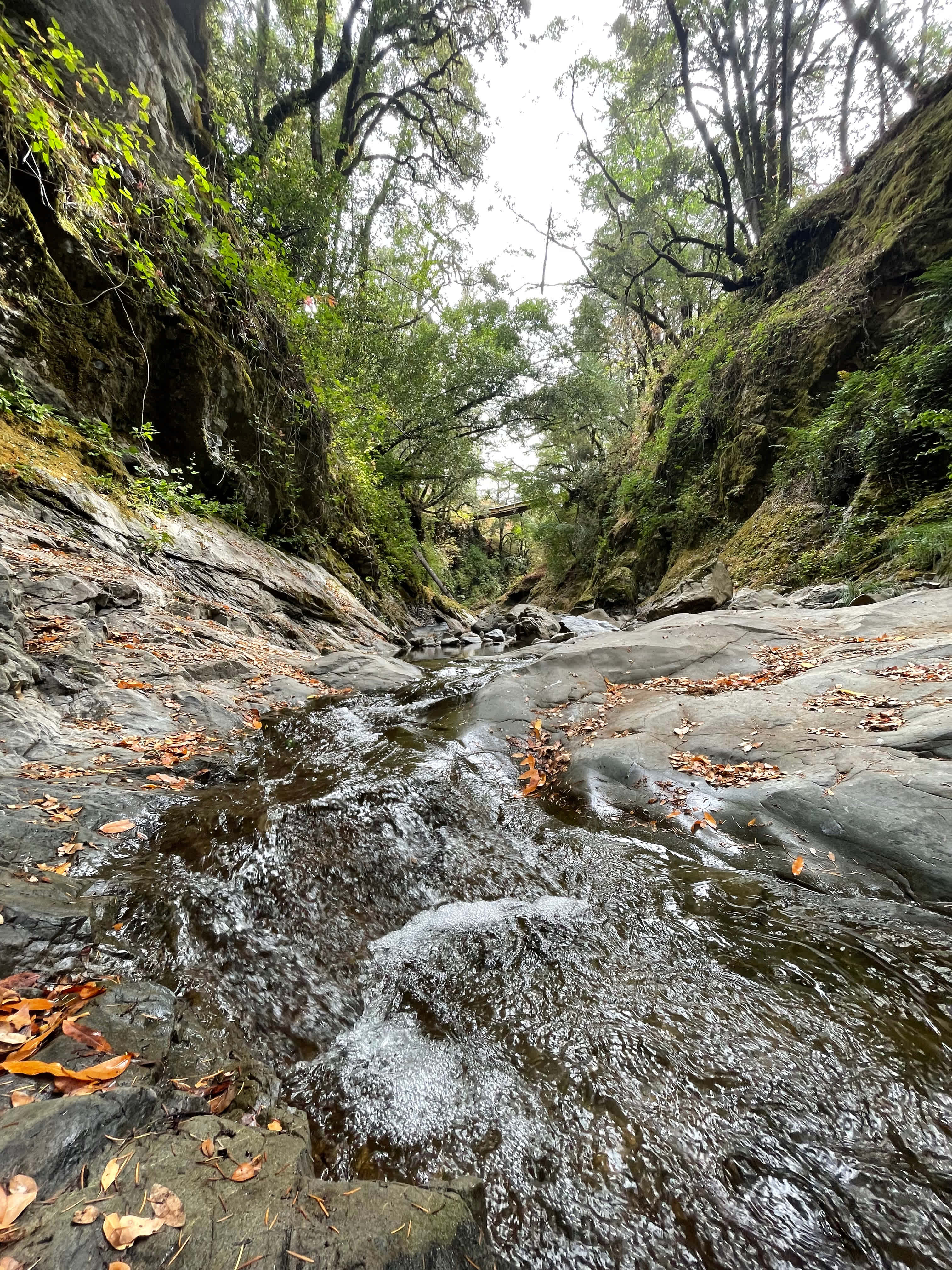 The Hideaway at Hole In The Wall