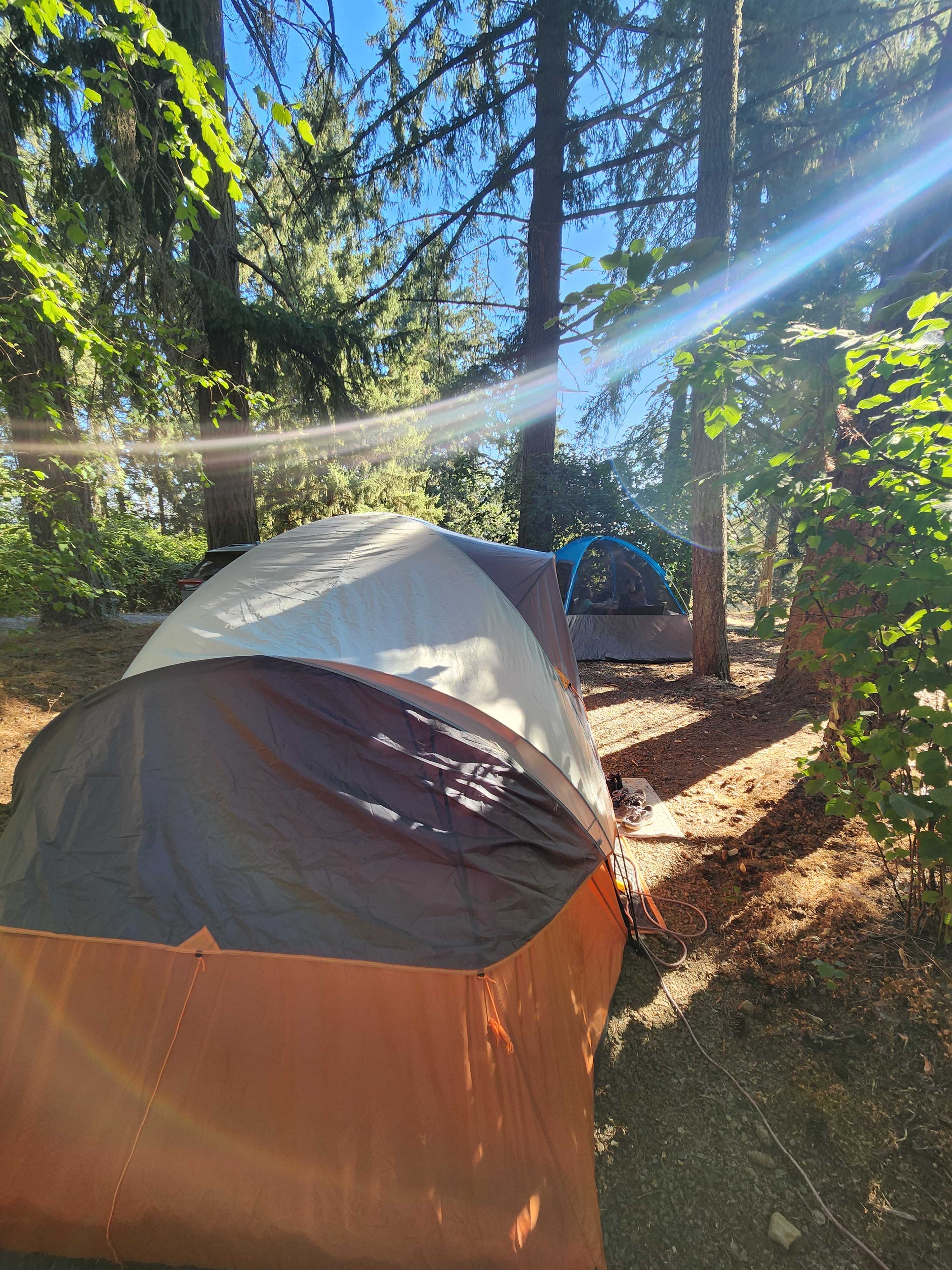 Carsners Tree Farm (CTF)