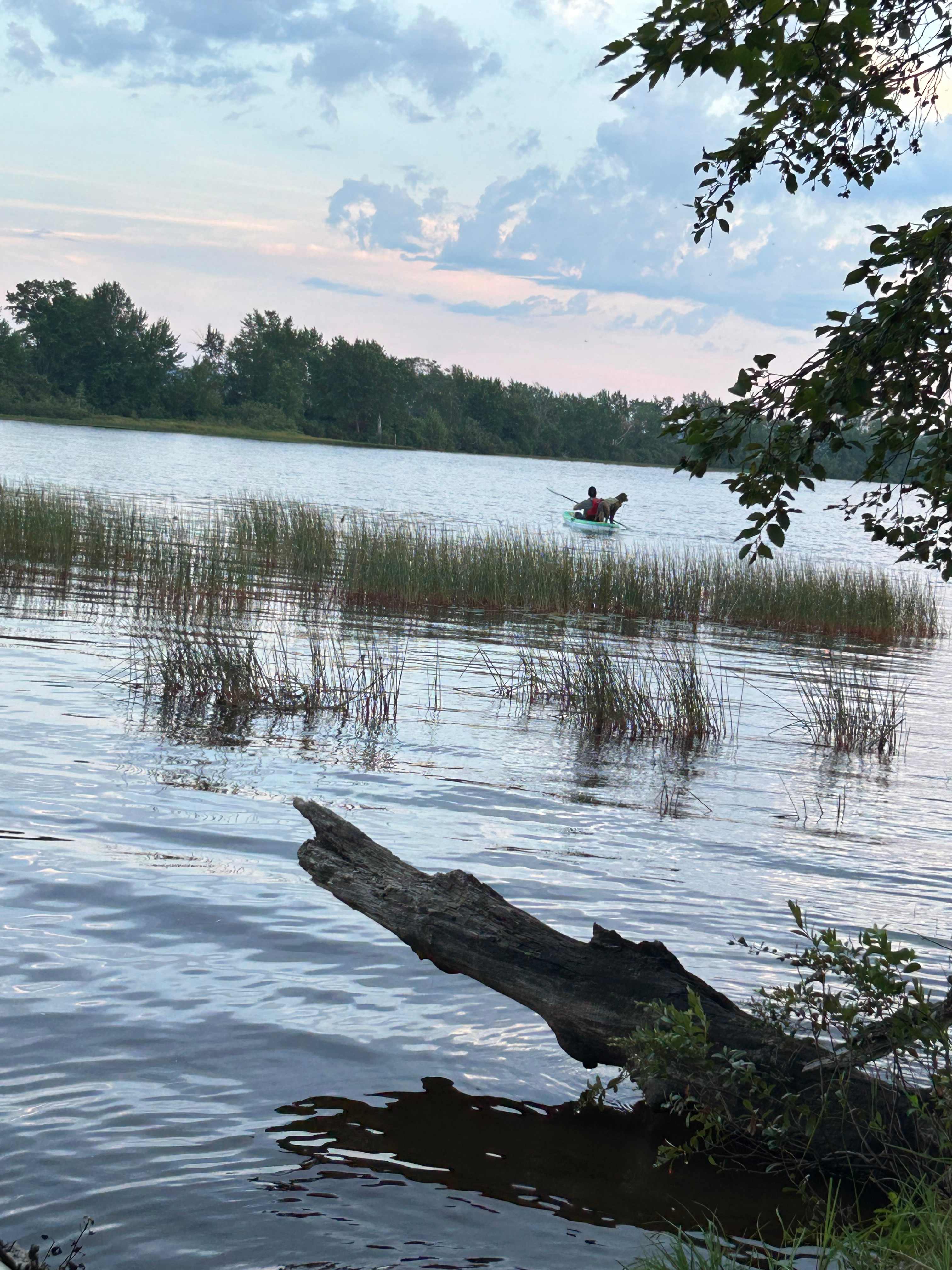 Muskoka Wellness Retreat