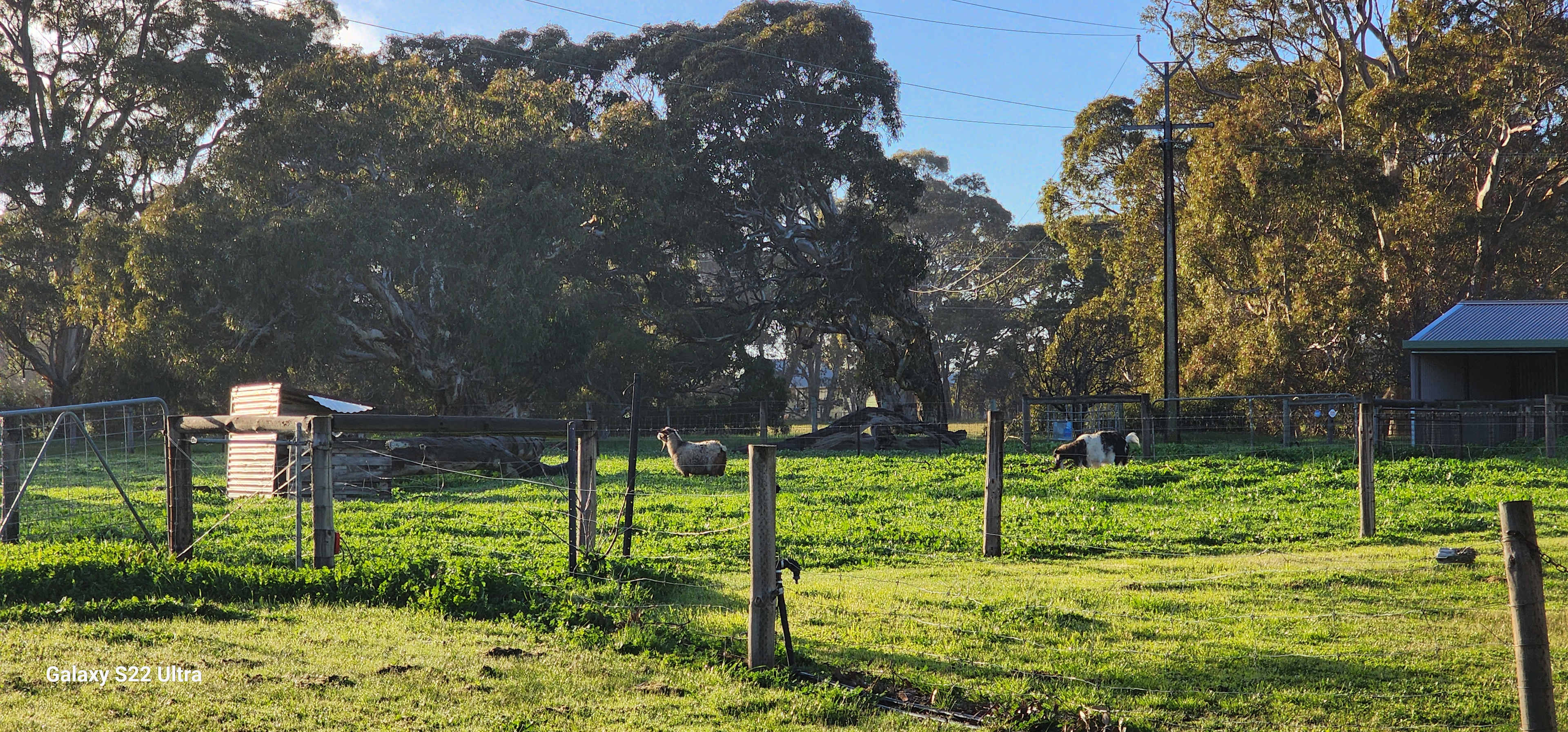 Breakaway Farmstay