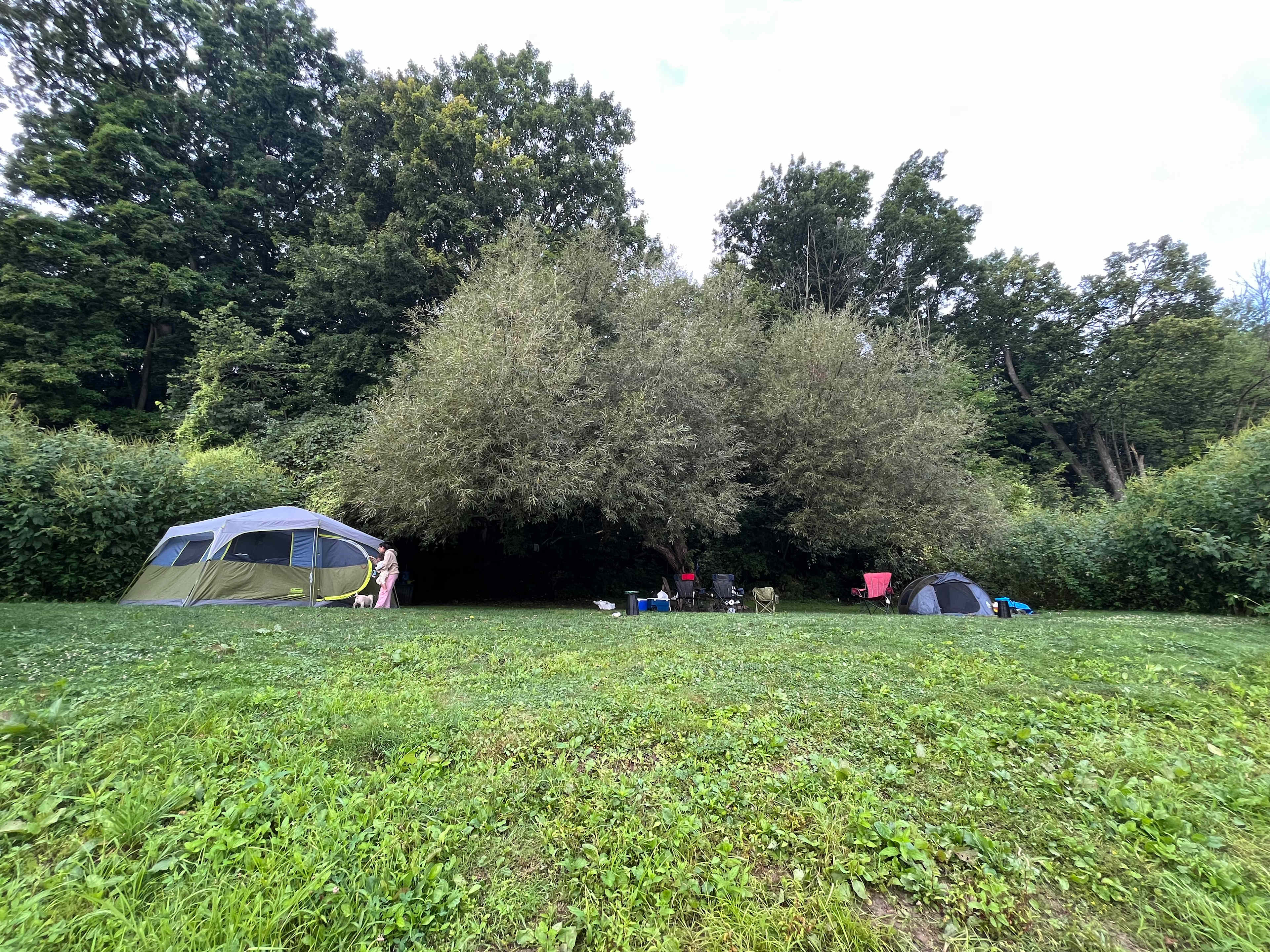 Monarch Meadows Tree Farm