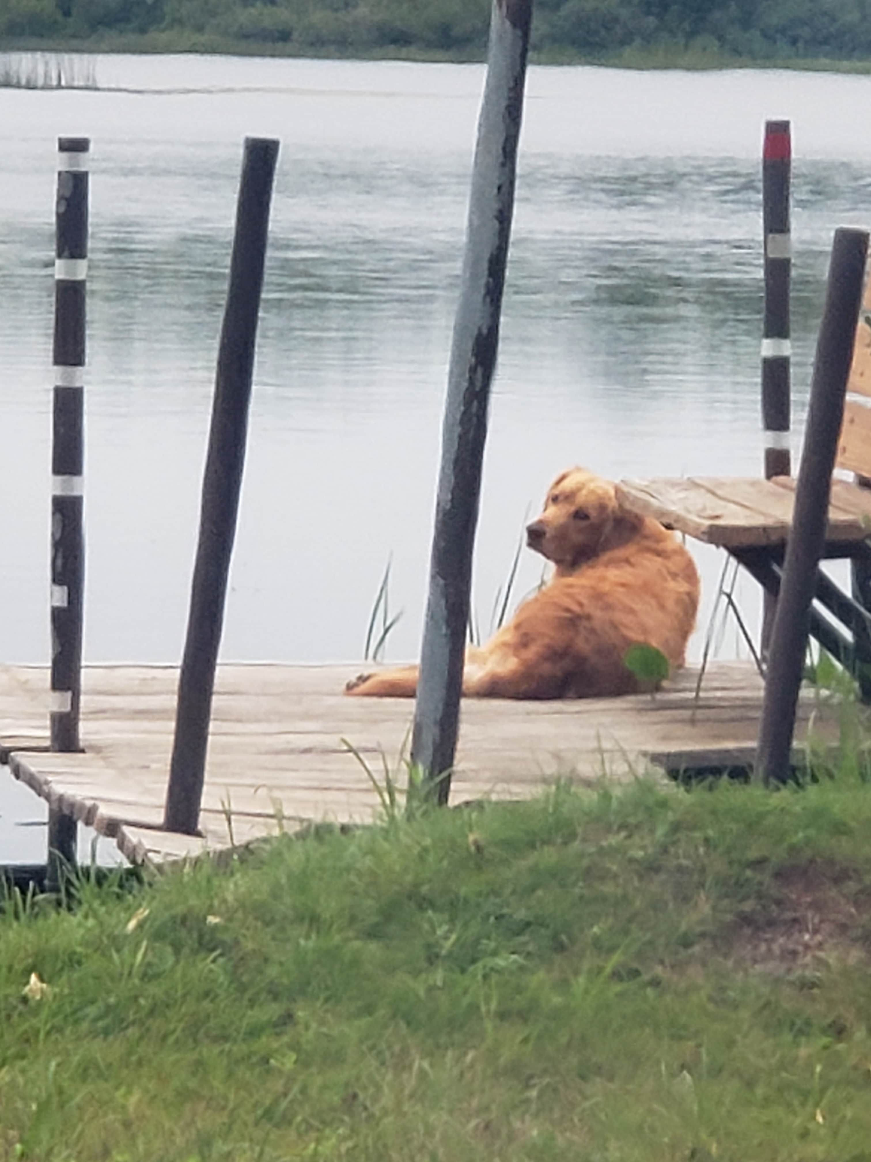 Lakeside Wanderers Refuge-Private!