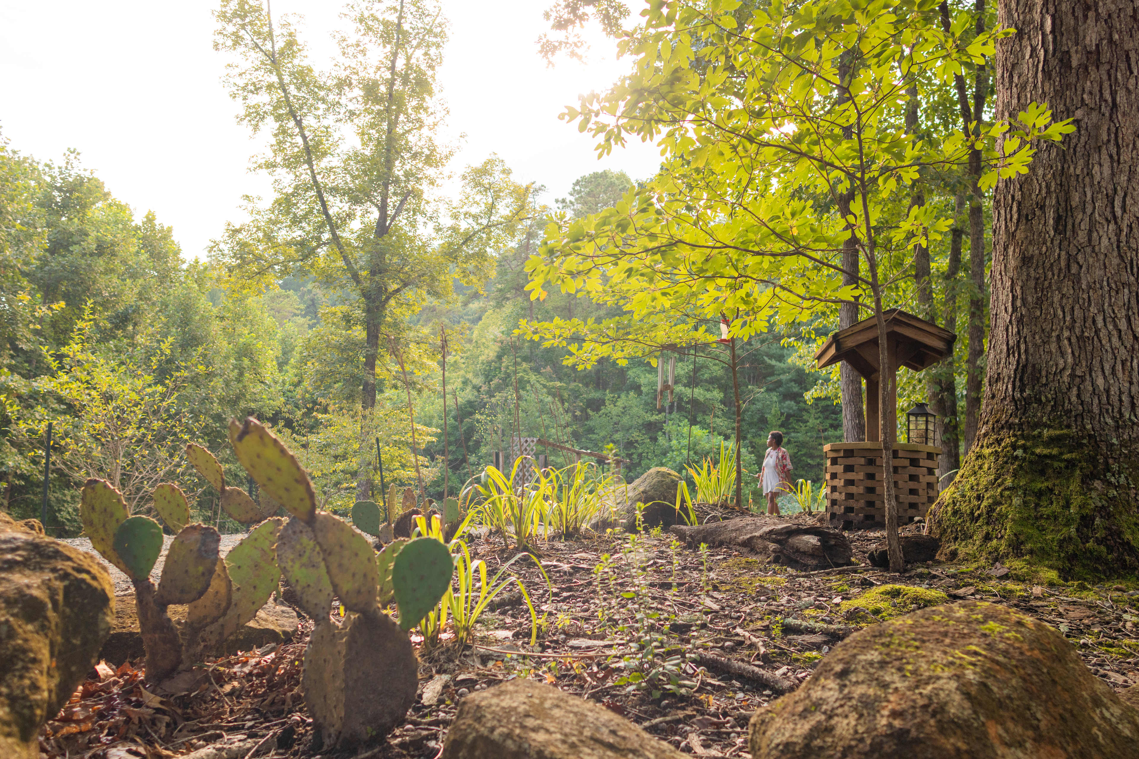A small garden outside of the cabin is perfect for a leisurely afternoon stroll