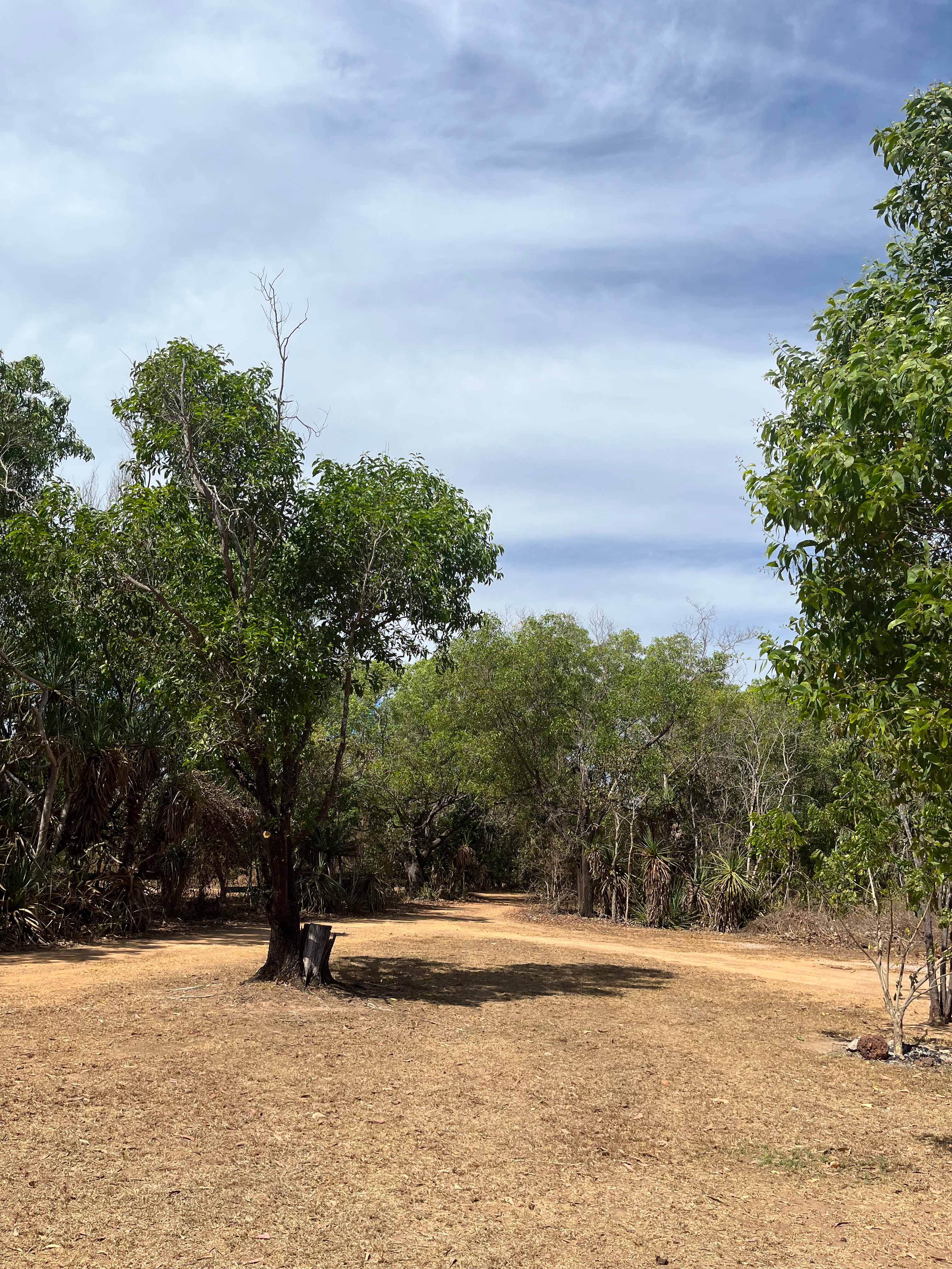 Long shady driveway opens out into a large cleared camping area with a designated fire pit. Bring firewood. 