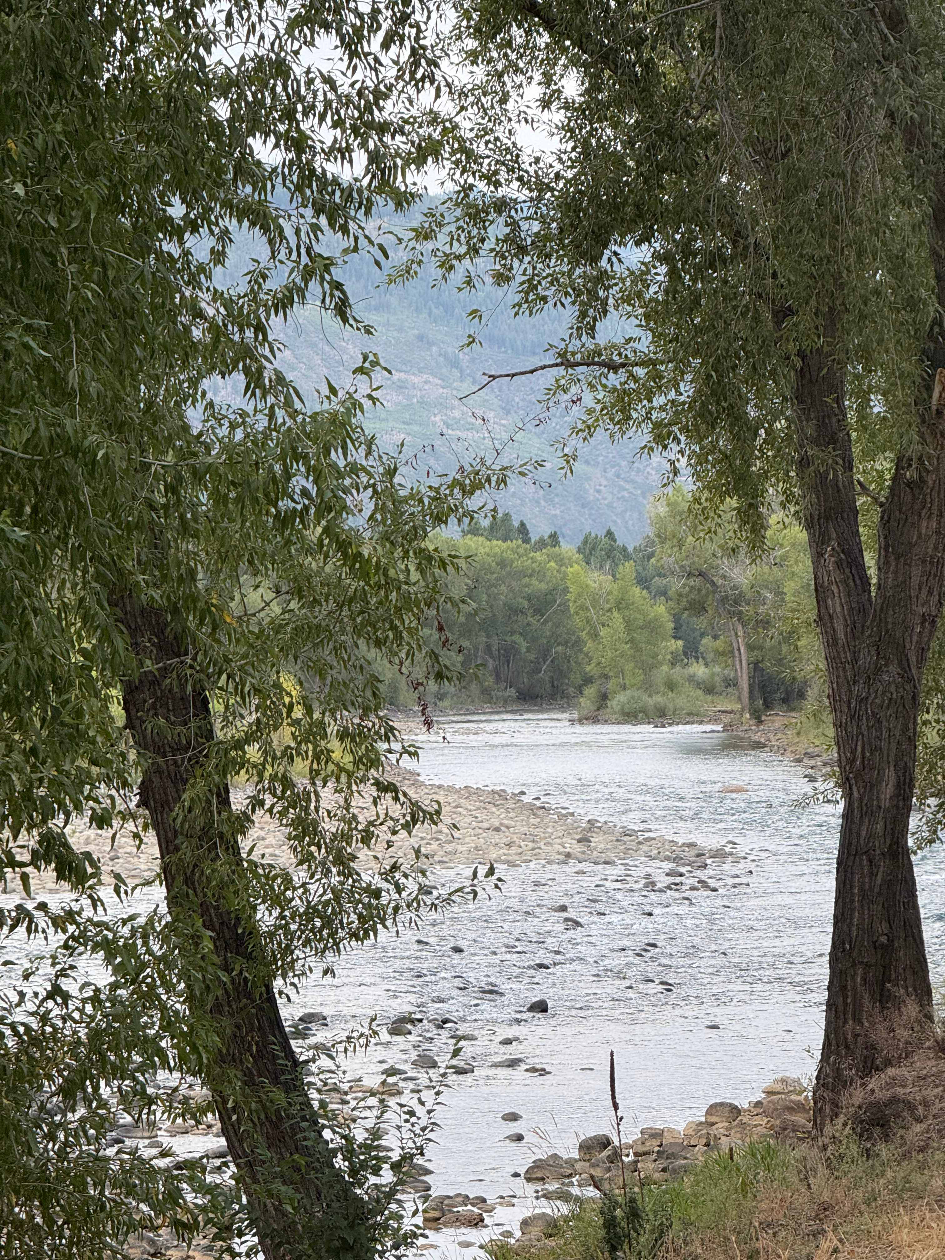 Junction West Durango