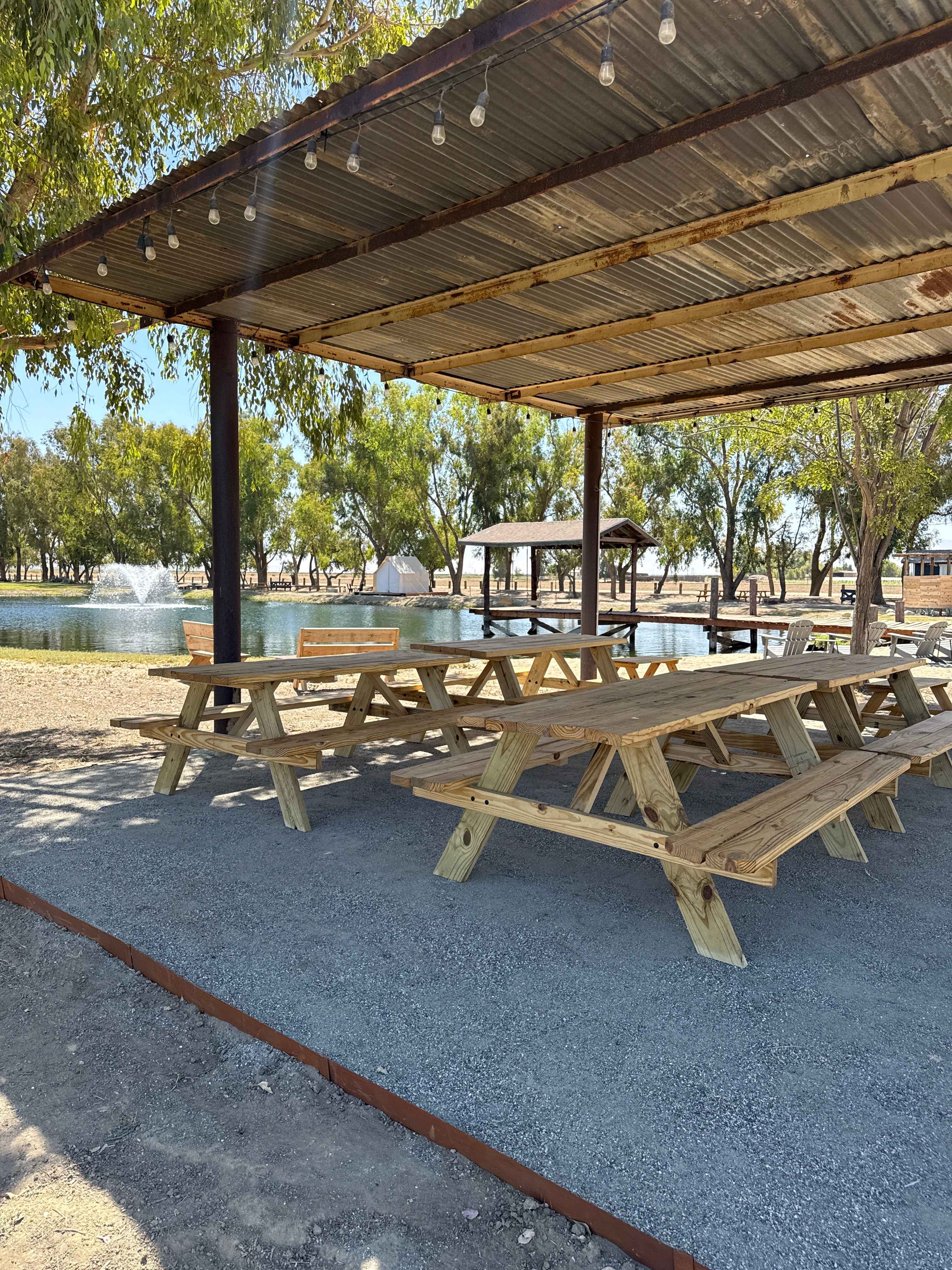 Bakersfield Farm Animals & Pond