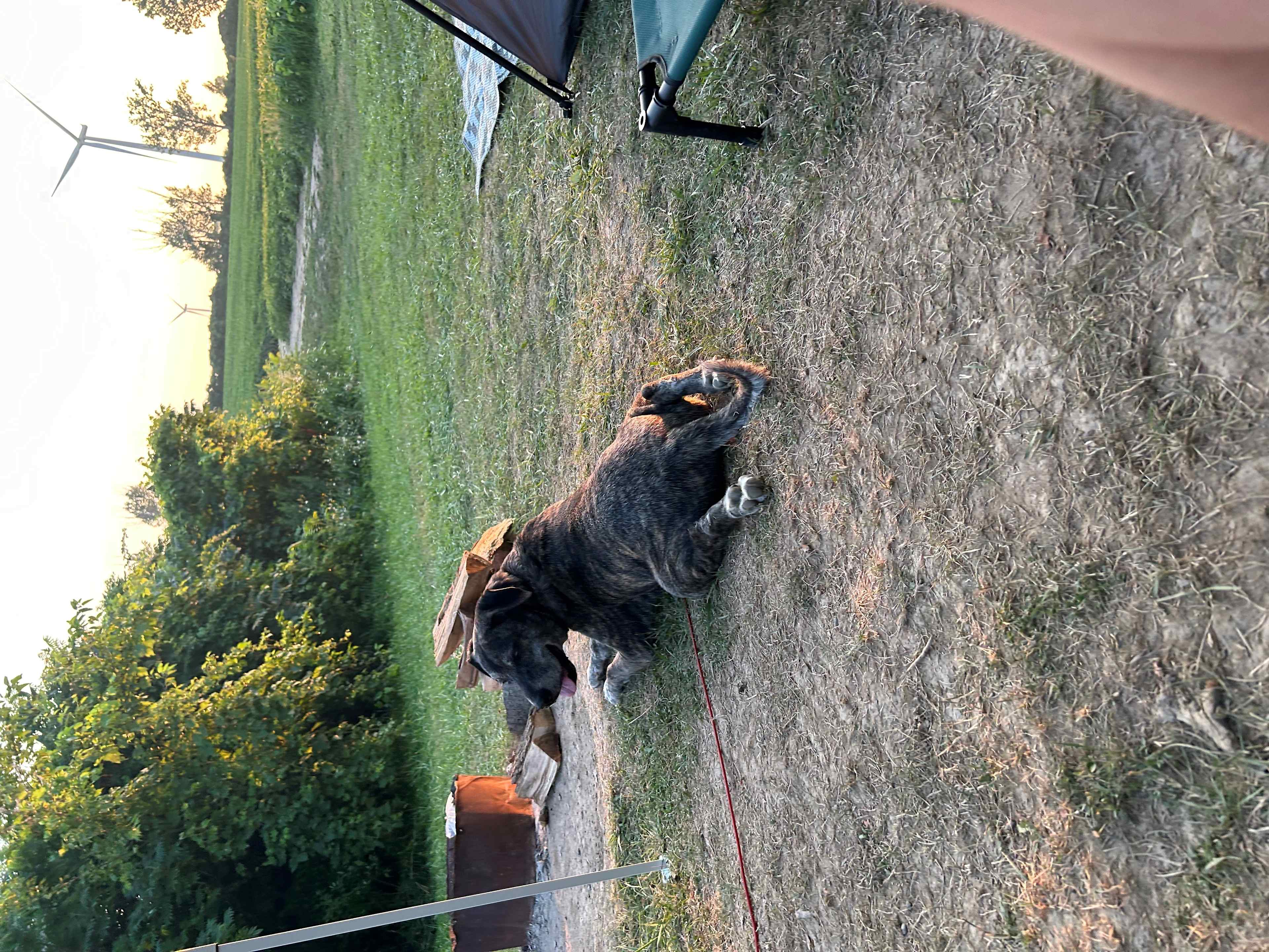 Lake Erie Private Beach Camping