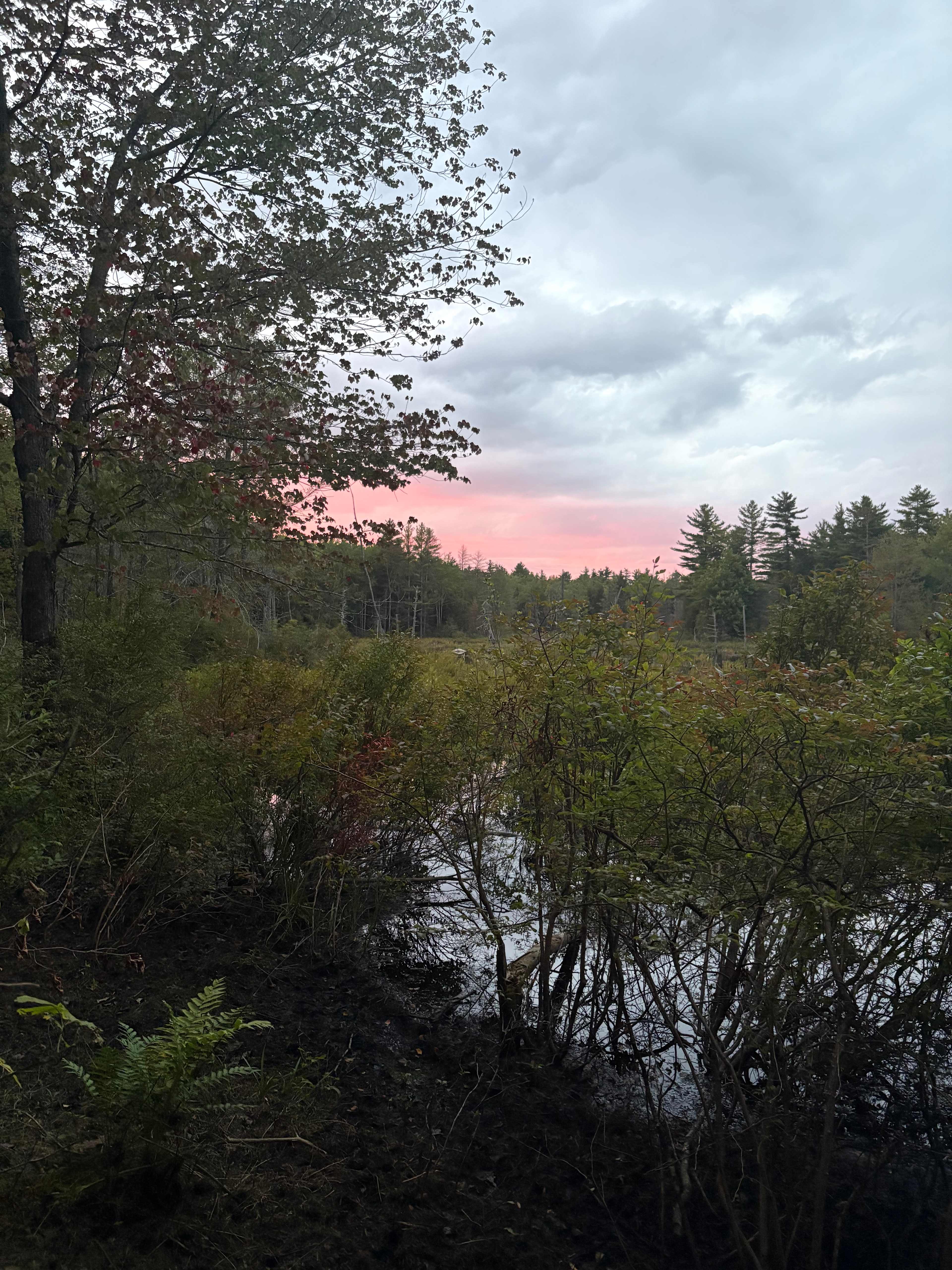 Mountain Brook Hideaway