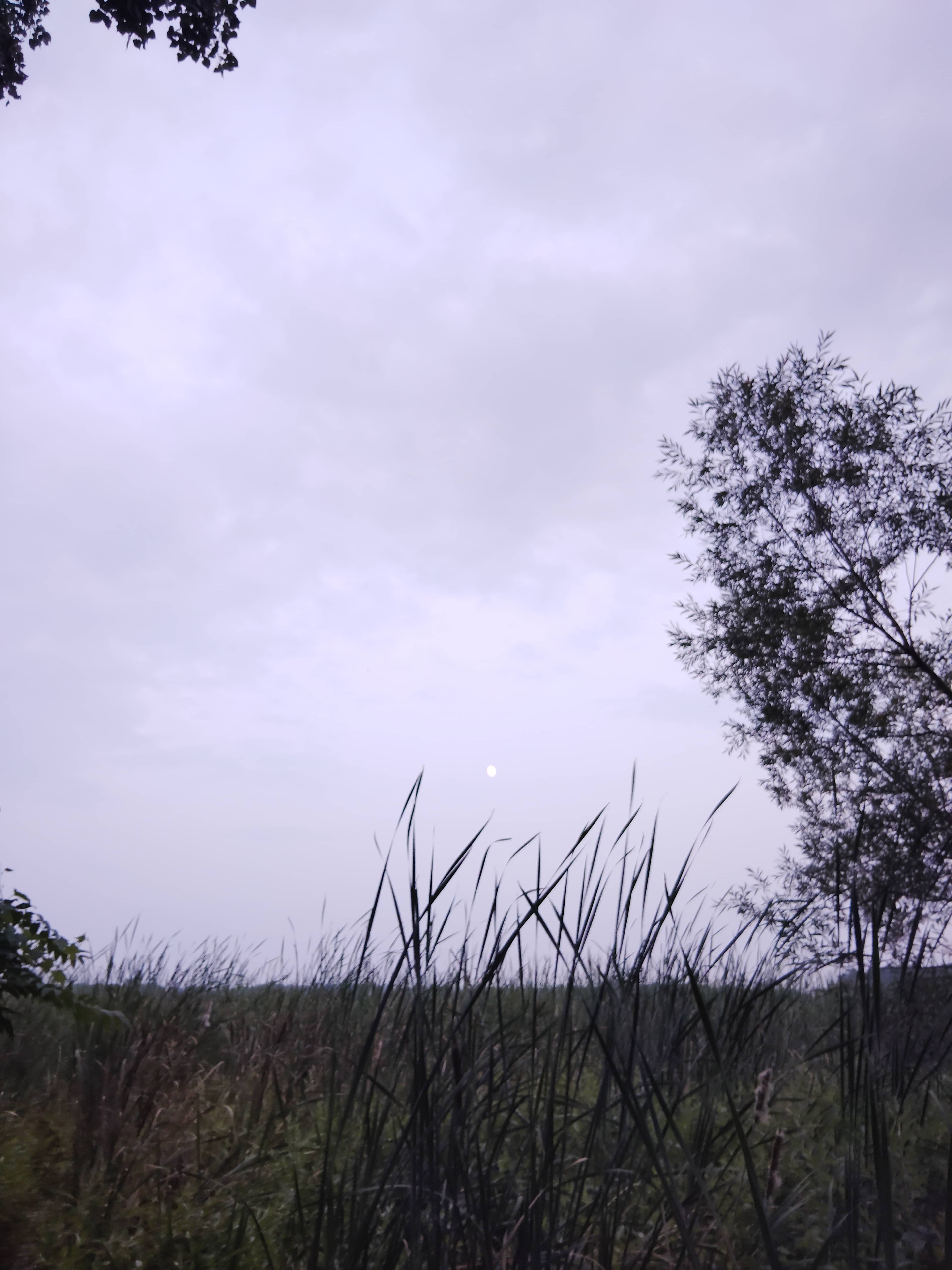 Tiny Love Shack Off Grid Glamping