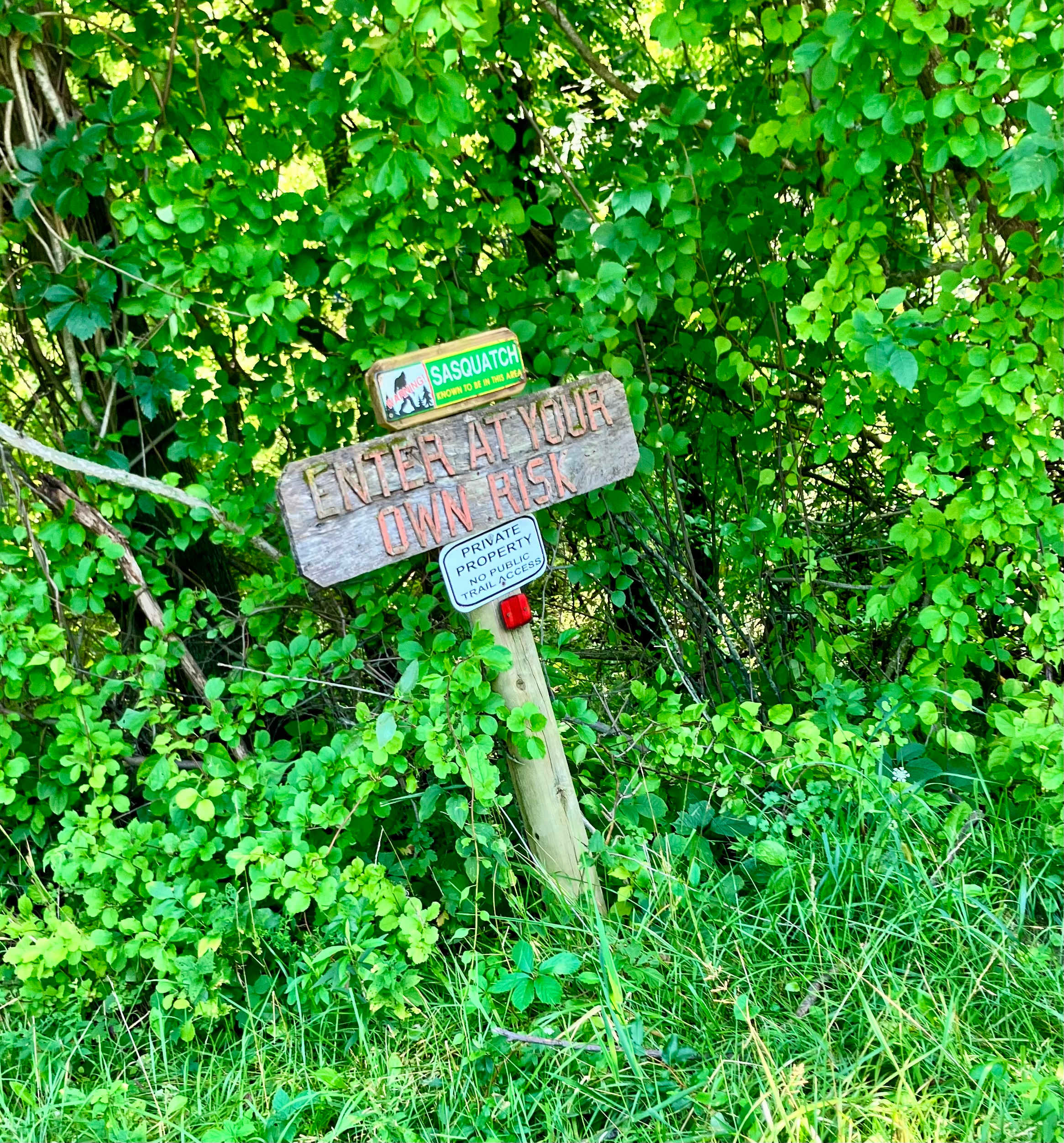 n*Everland Barnyard Camping