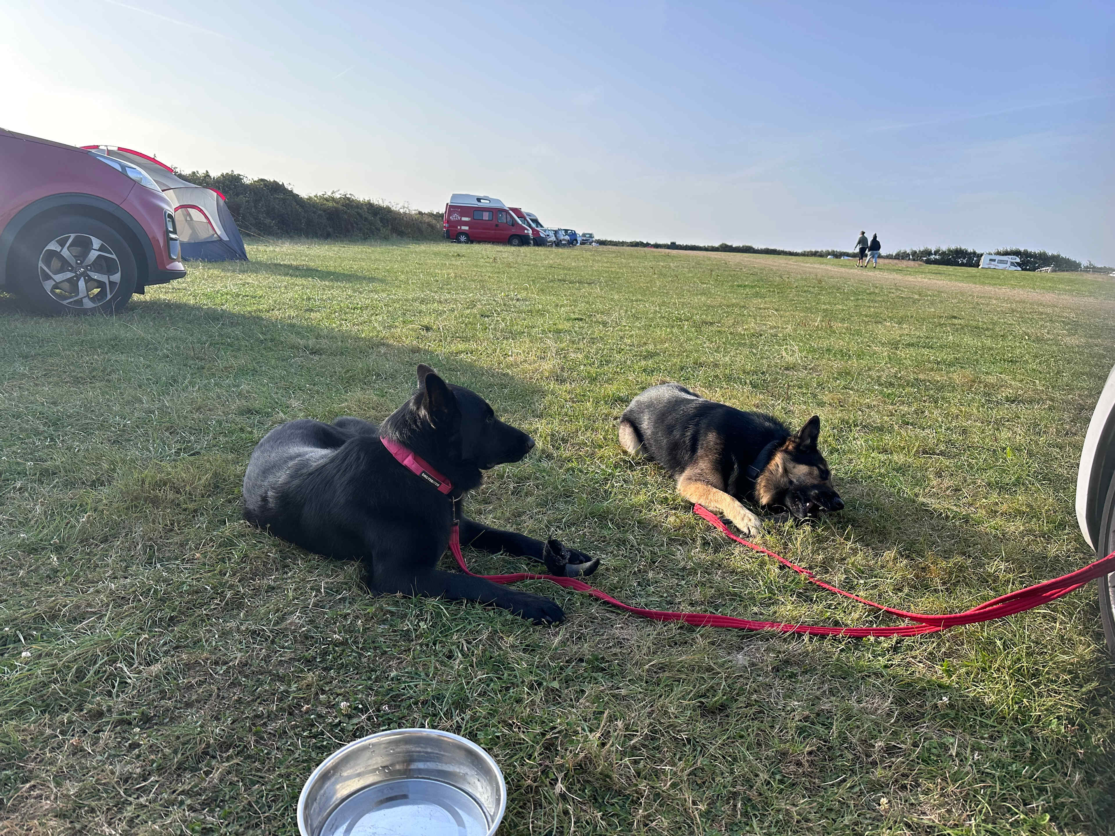 Cadgwith Wild Camping